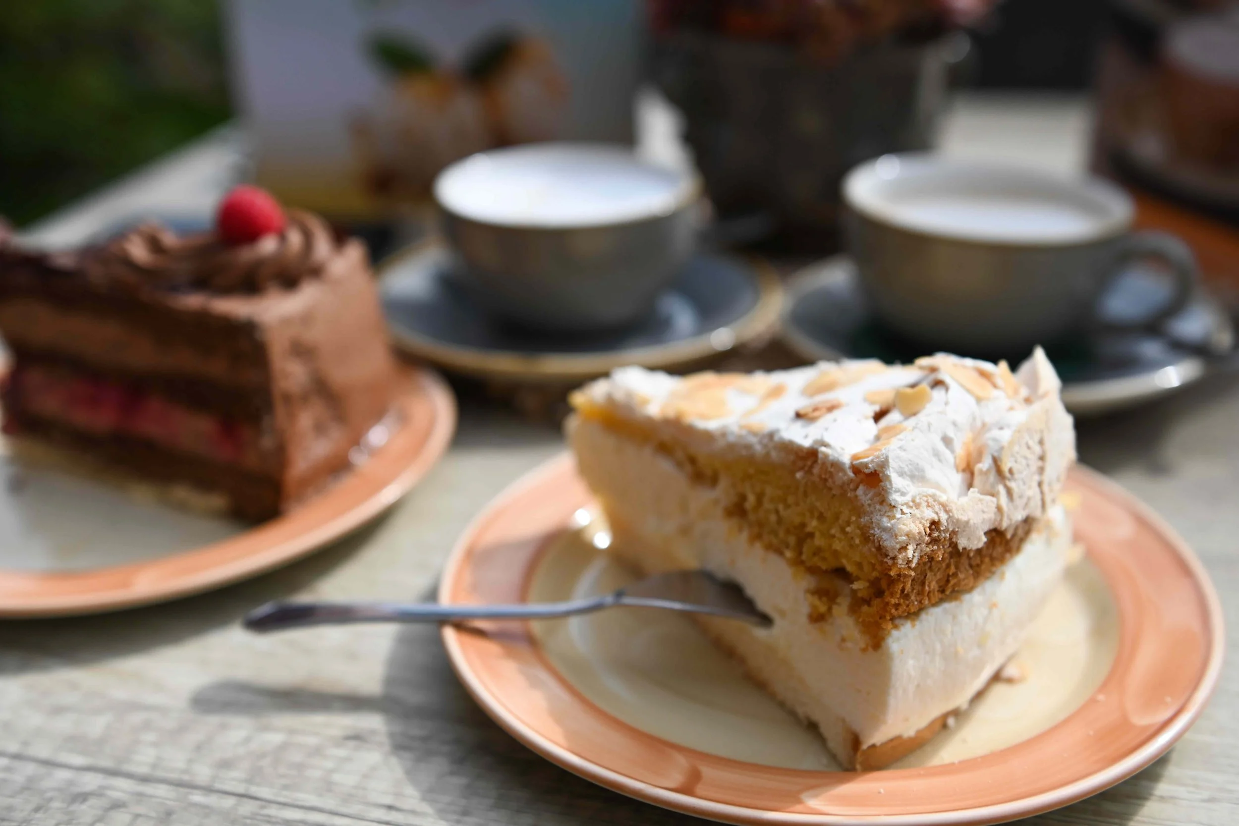 24-05 Salemer See_1973.jpeg