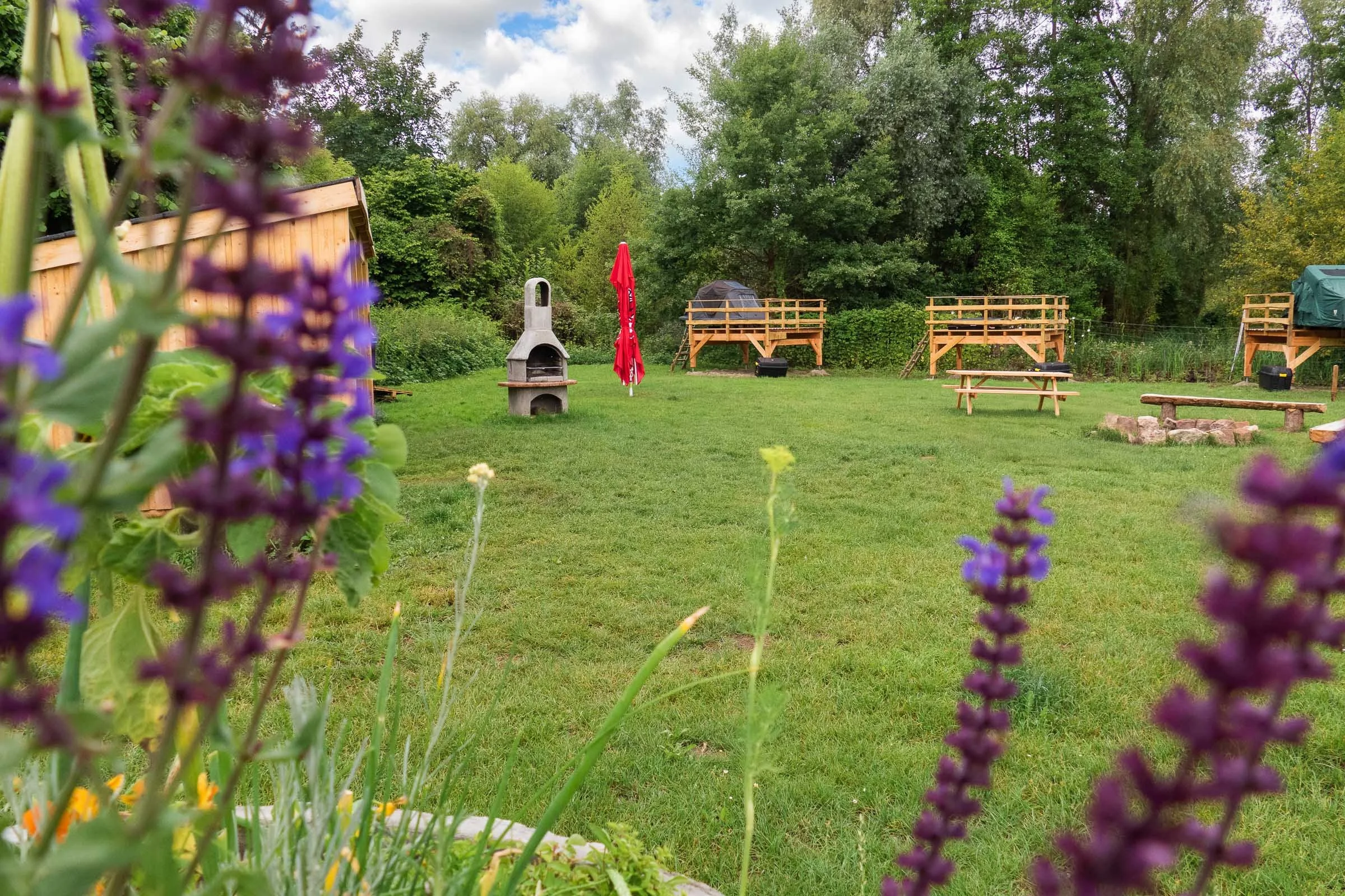 24-06 Südpfalz_P1290651.jpg