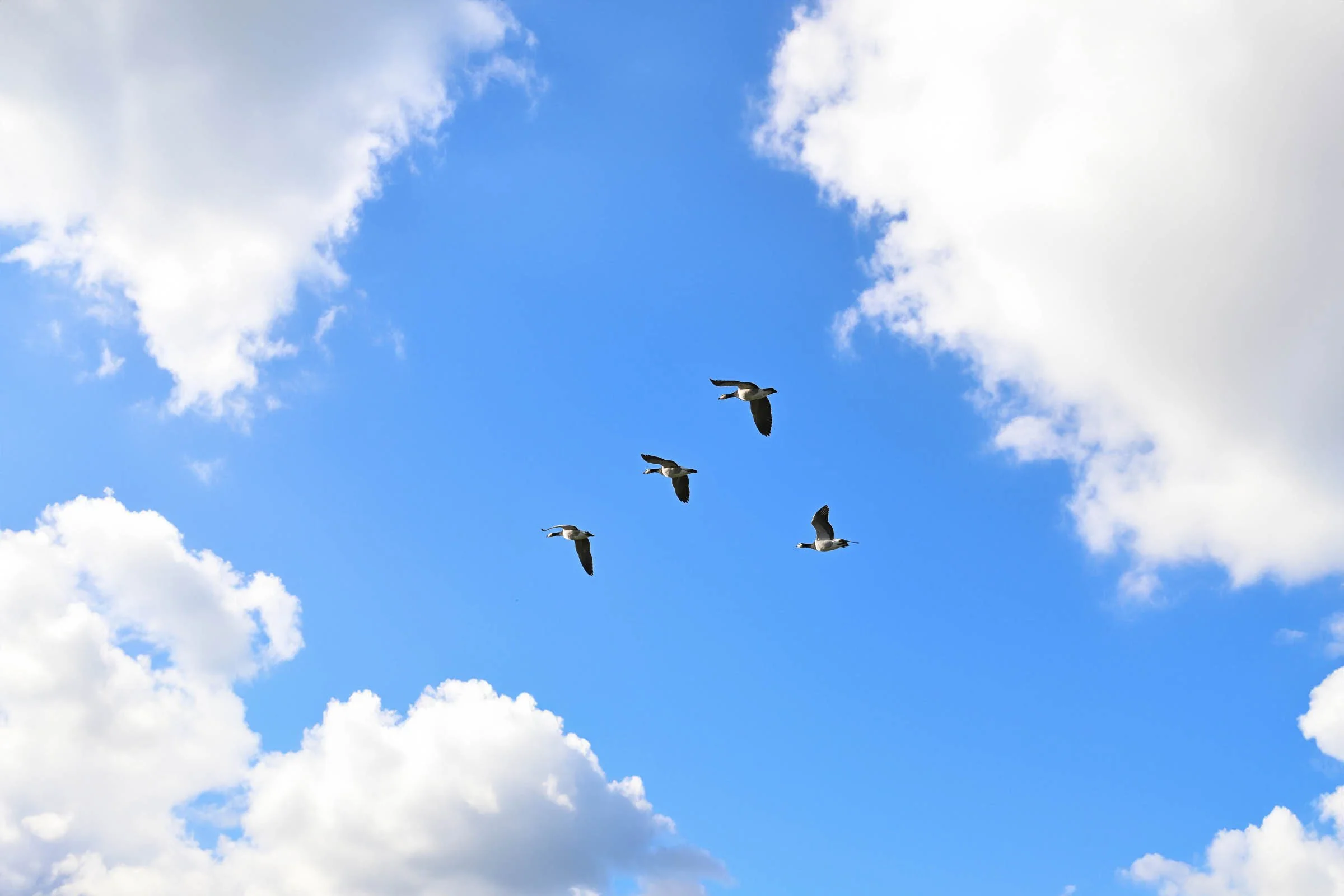 24-04 Saisonstart Harlesiel_1824.jpg