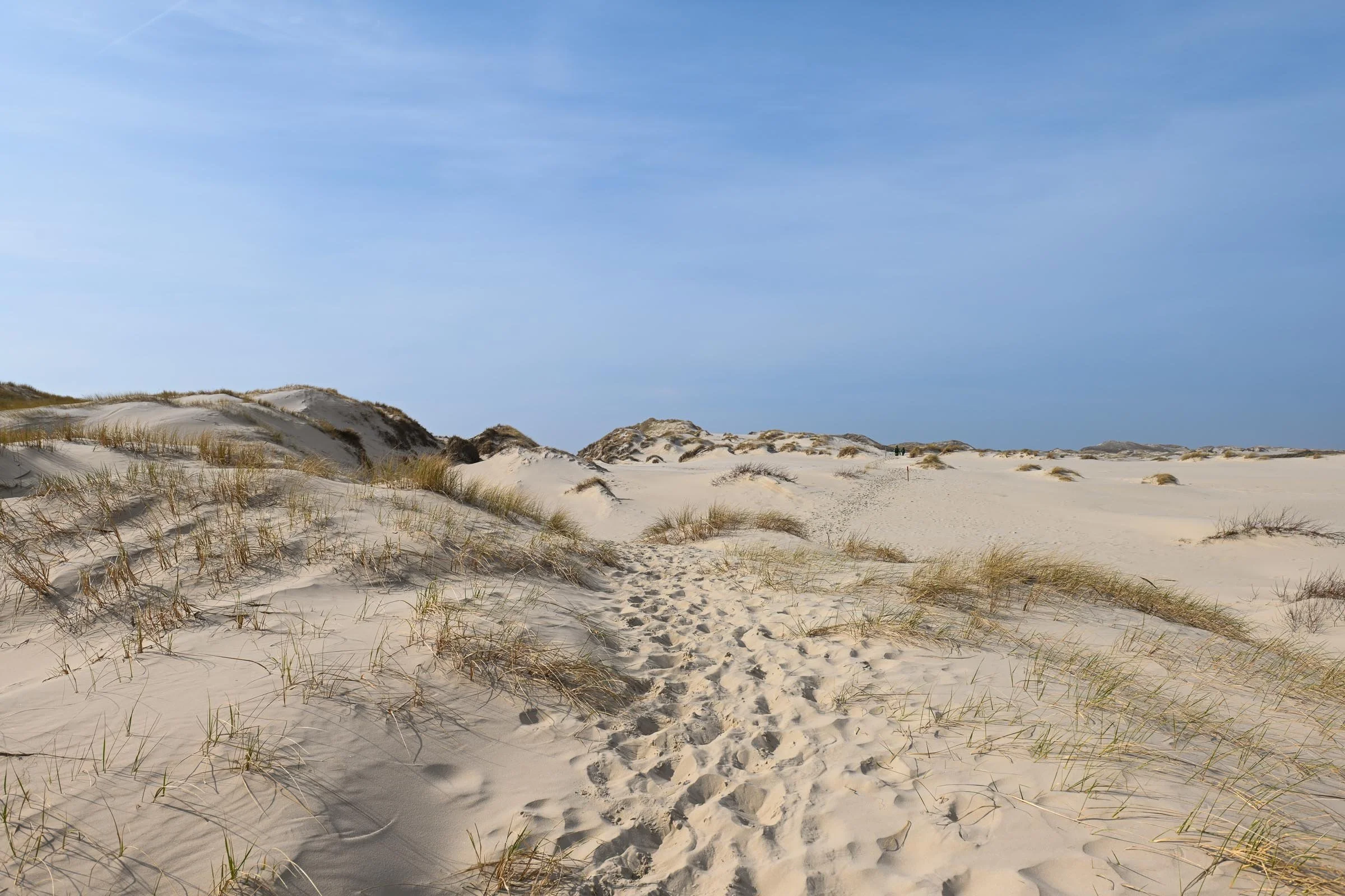 24-03 Sleep Spaces Amrum_1613.jpg