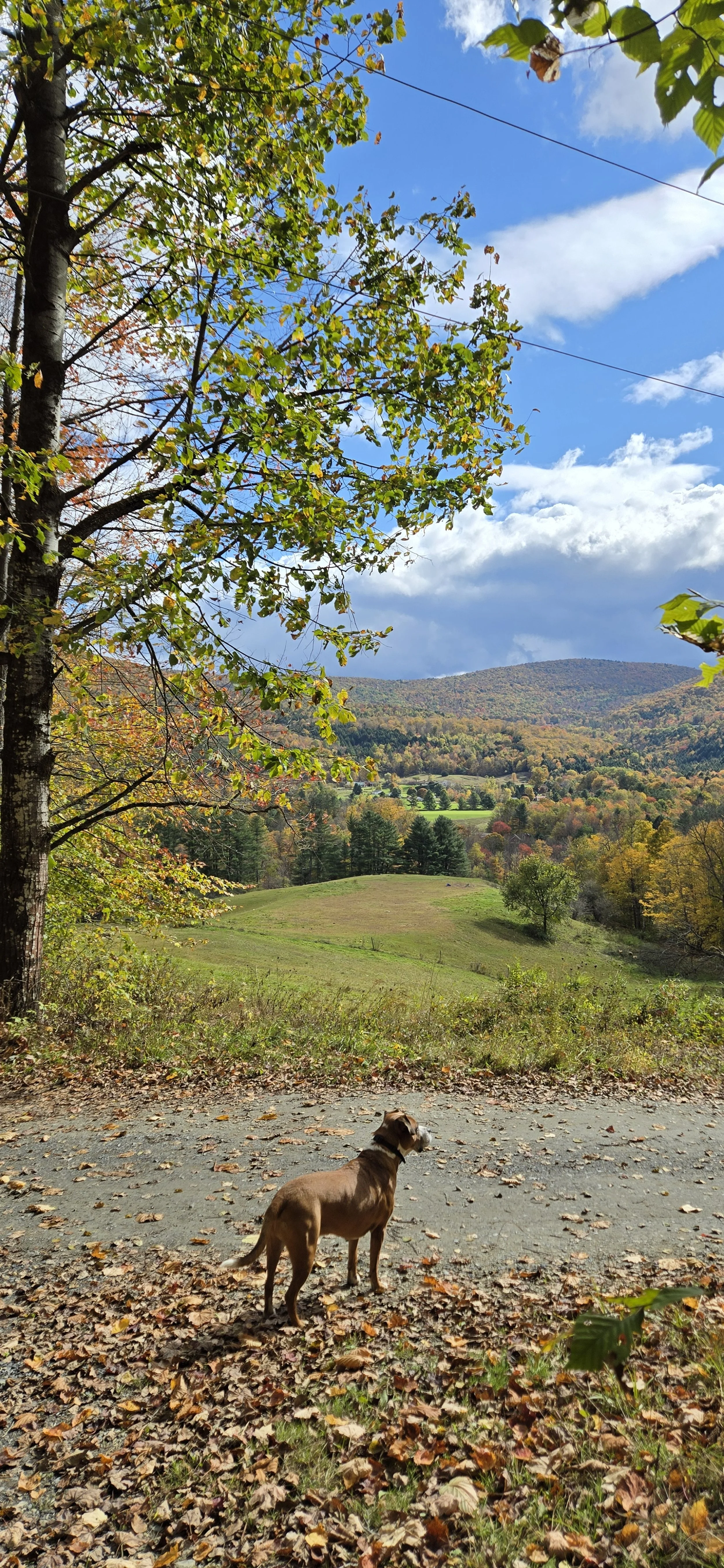 Why You Need to Spend More Time in Nature This Fall