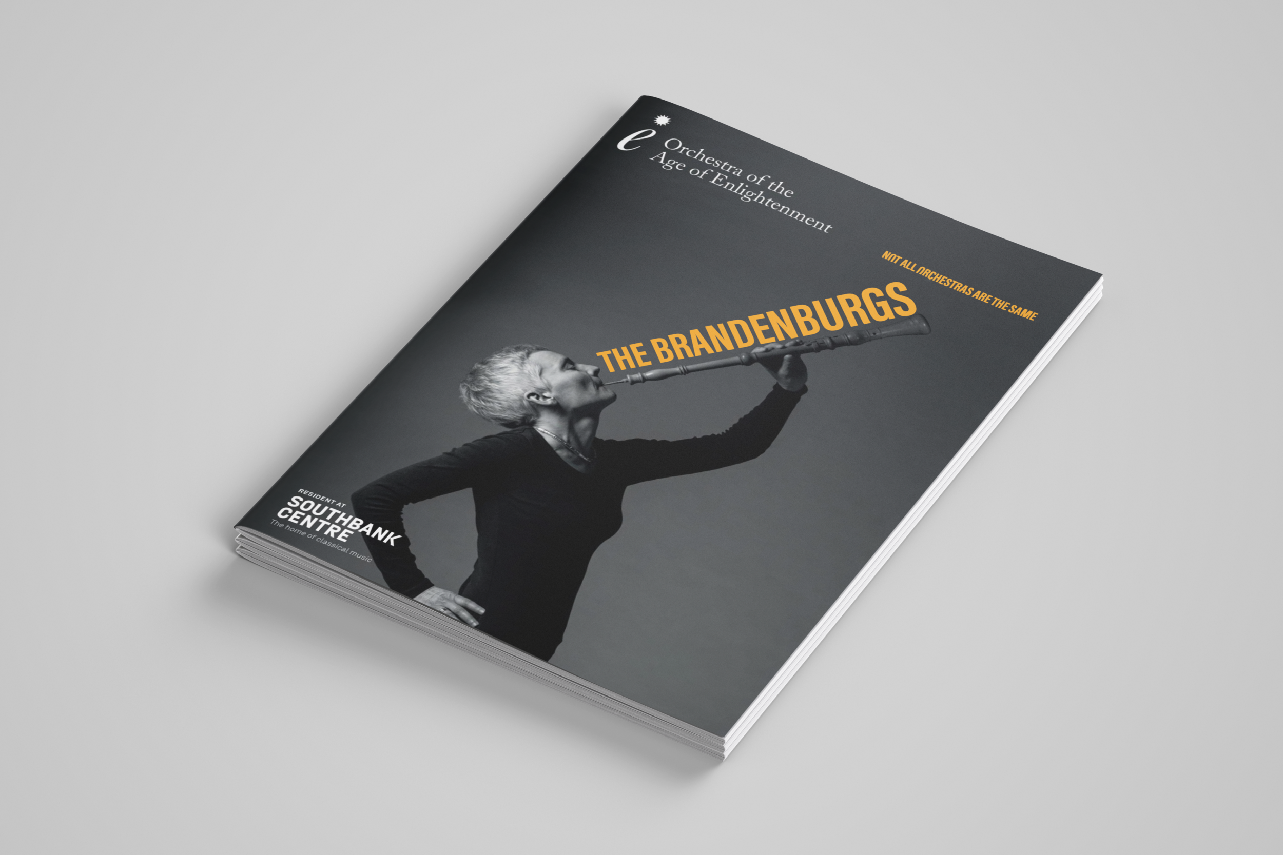 OAE programme cover.png