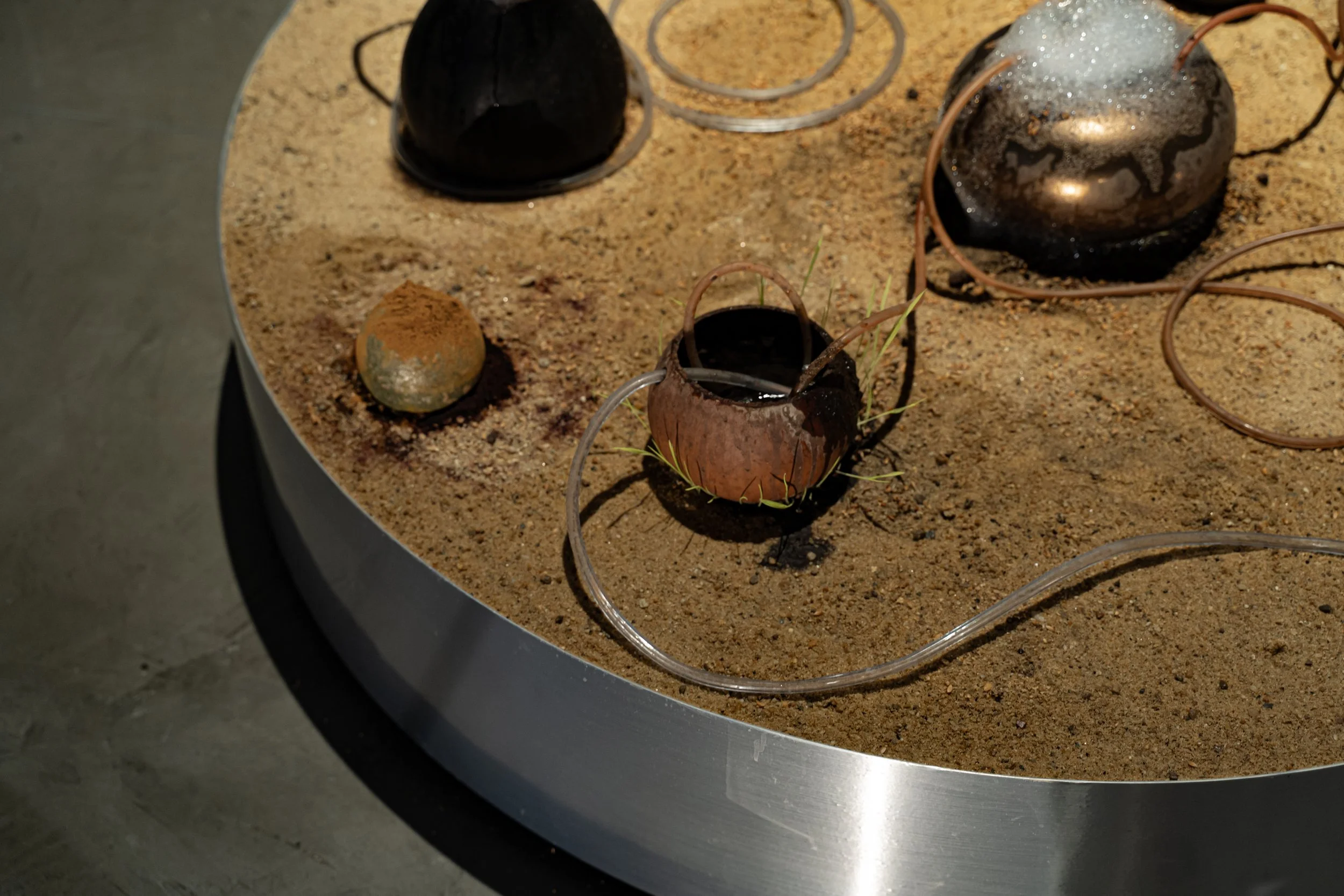 130 - The Disoriented Garden… A Breath of Dream .jpg