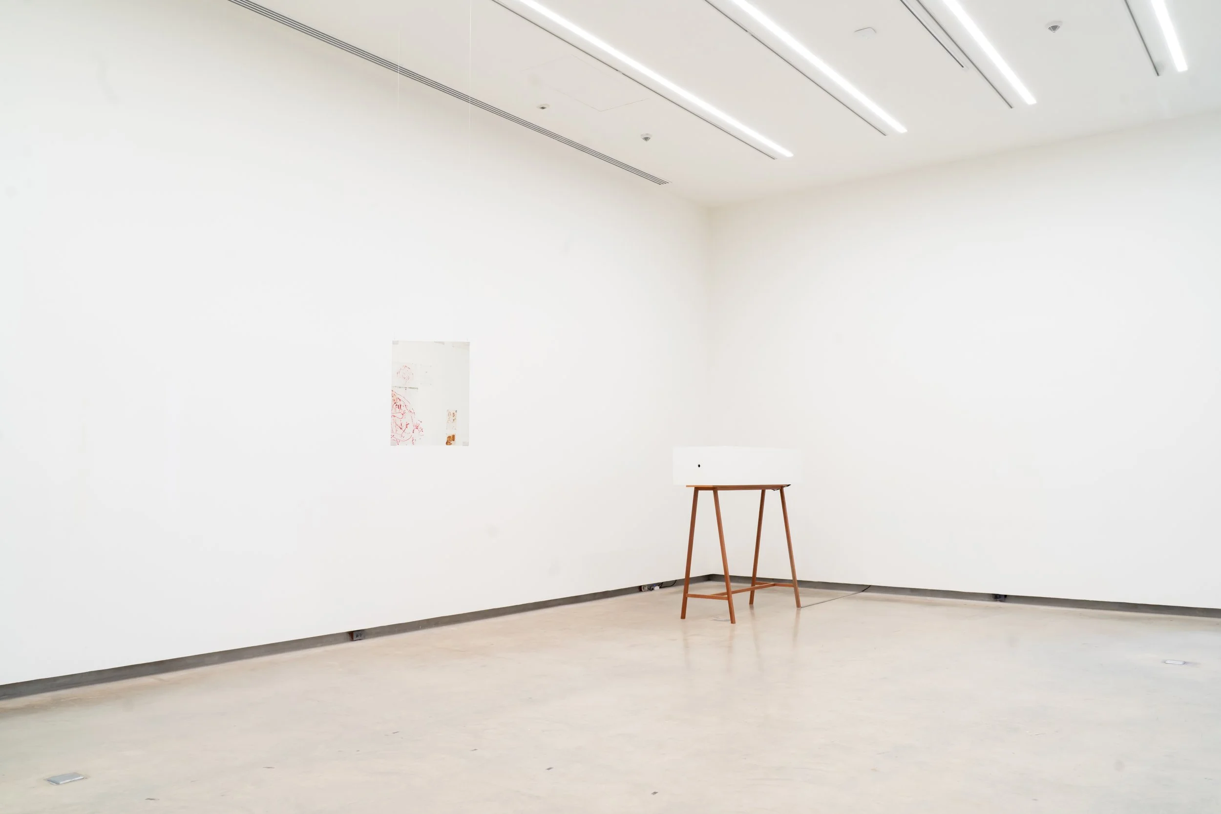 167 - The Disoriented Garden… A Breath of Dream .jpg