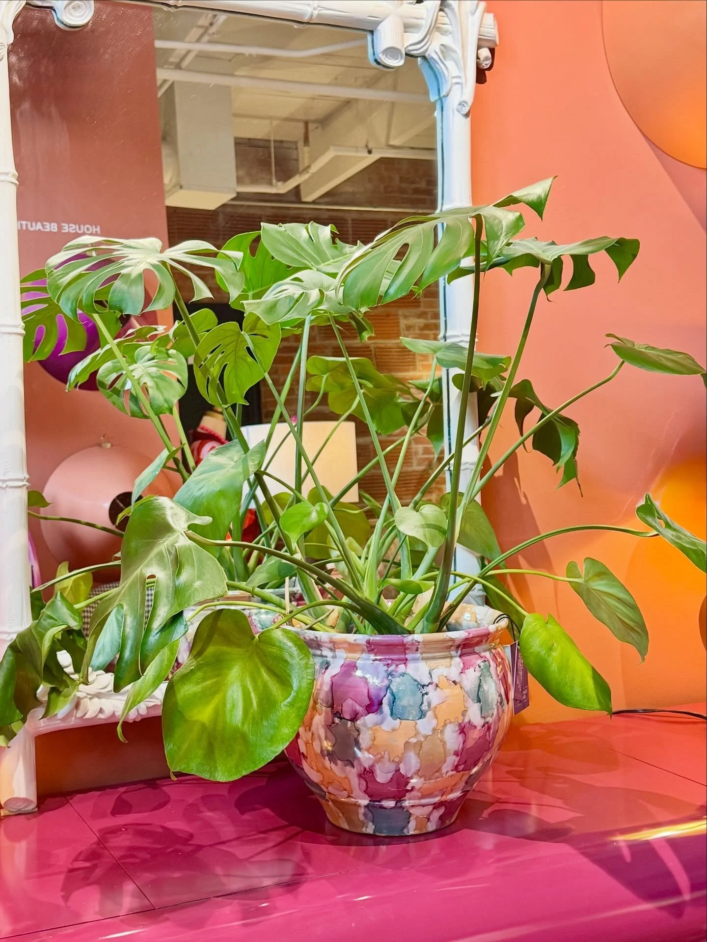 A little drama. A lot of soul.

When the vessel is right, everything else follows.

Available at Slate #DRISxSlateInteriors