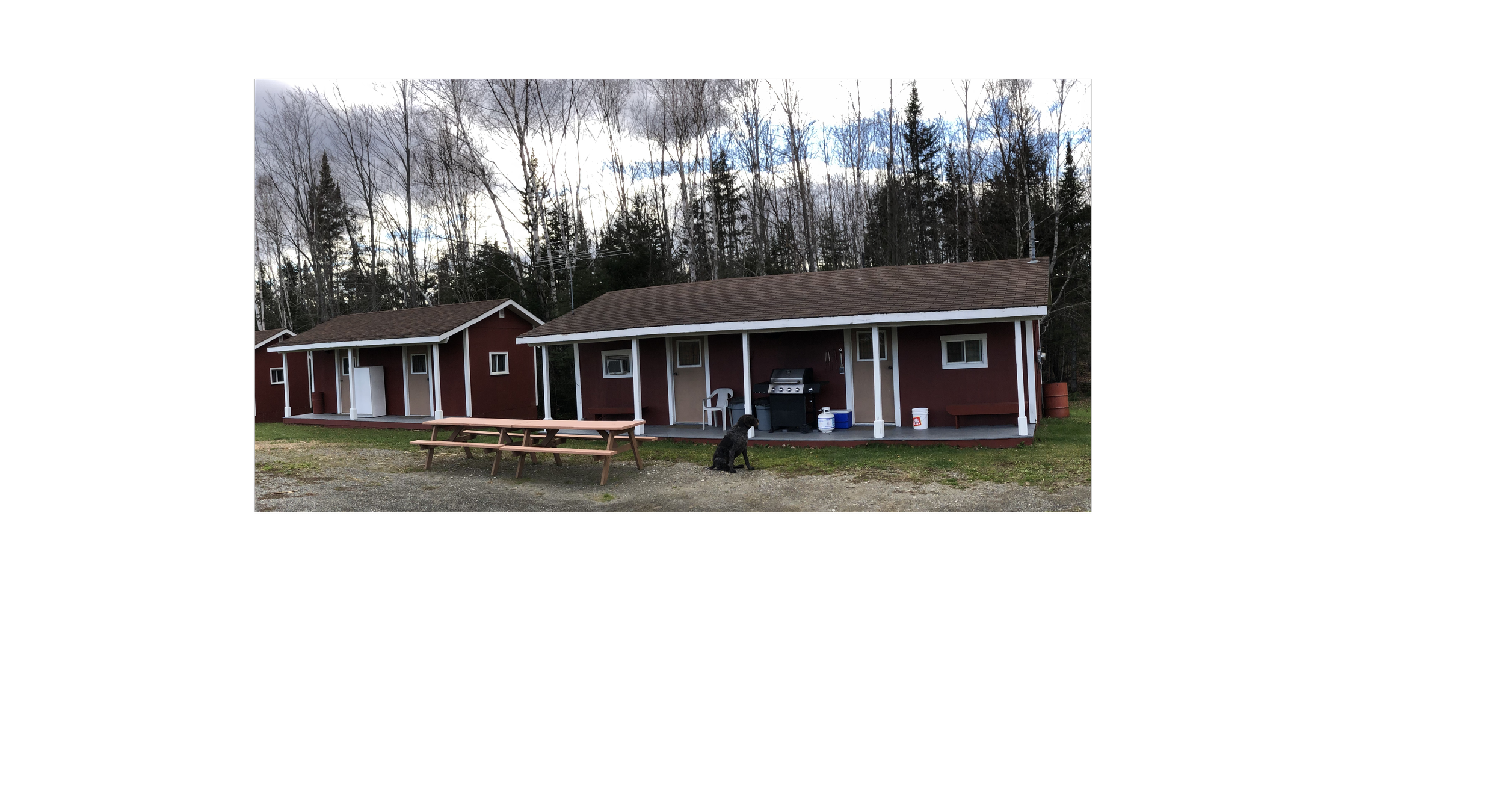 Photo 2021-11-05, 3 18 47 PM (1) 2.png