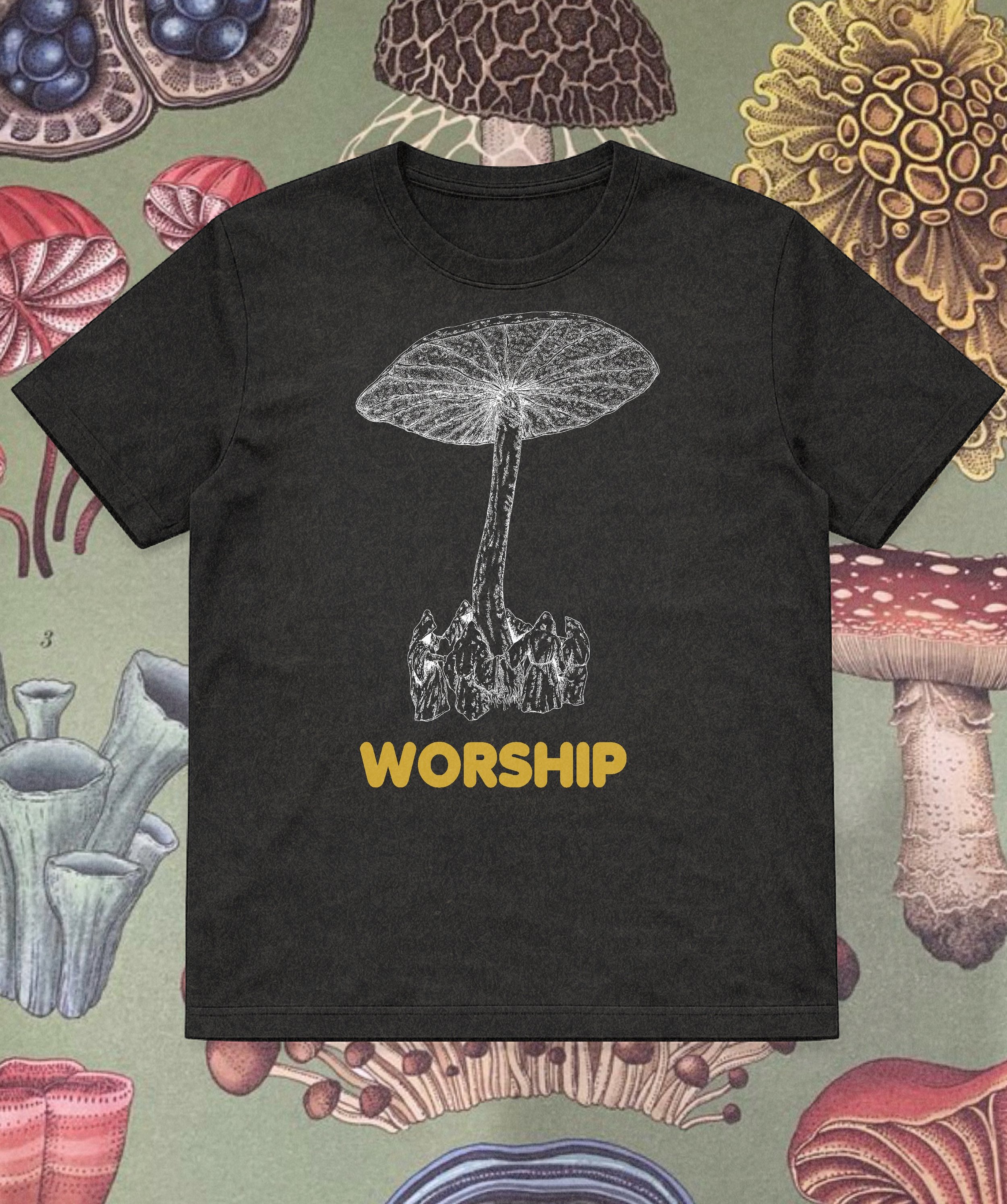 Mushroom Worship