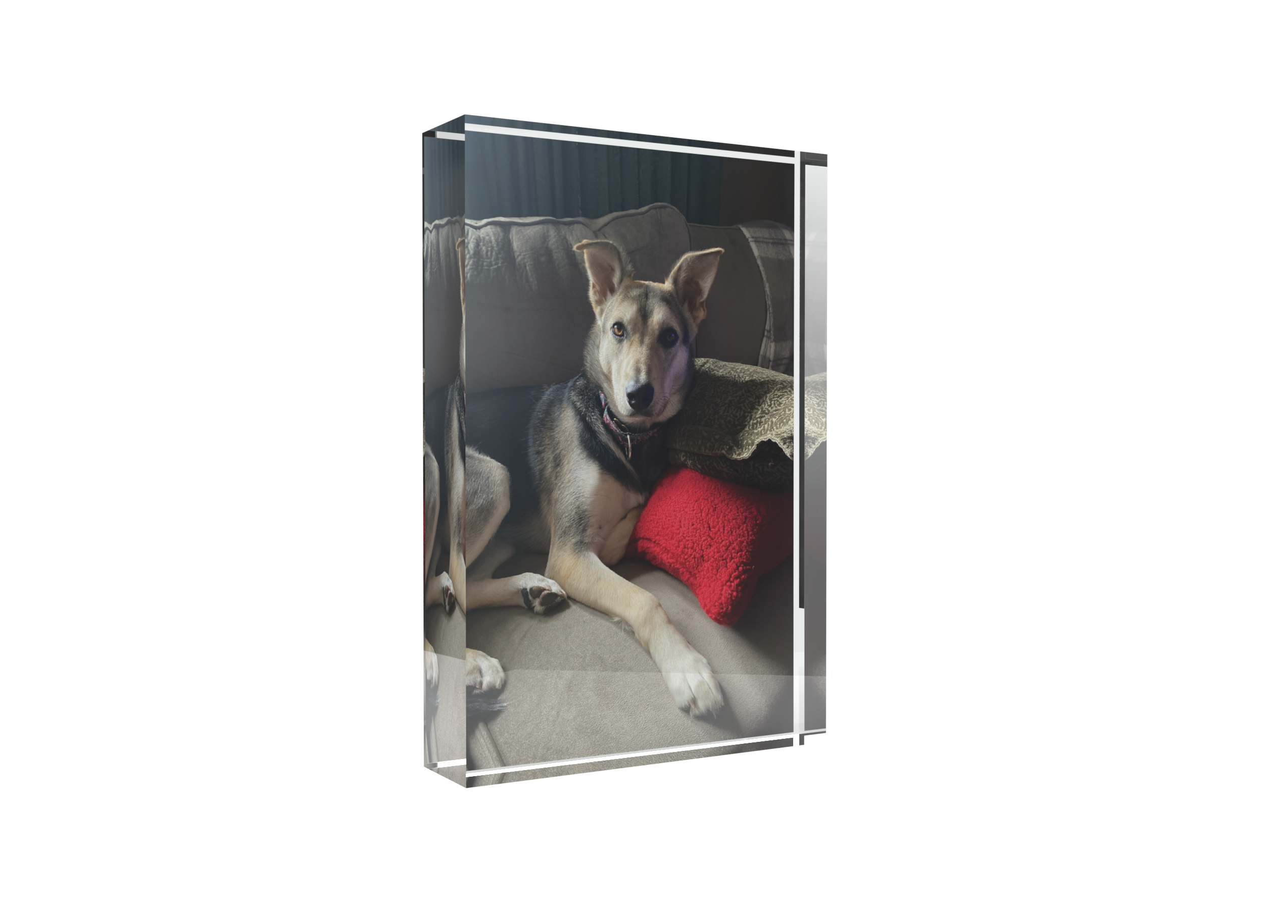 Pet Portrait (4) Render-Side.png