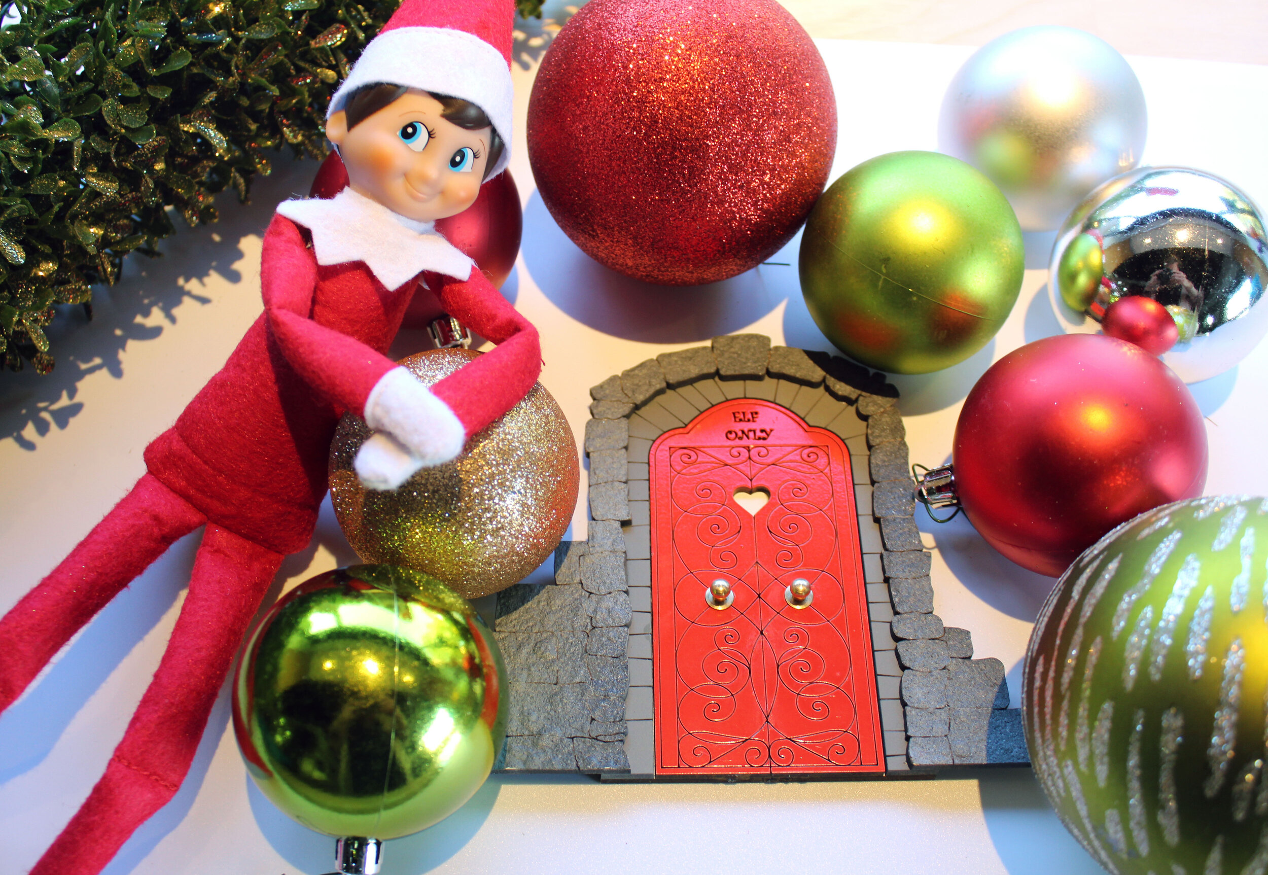 Official Fairy Bank Elf Door
