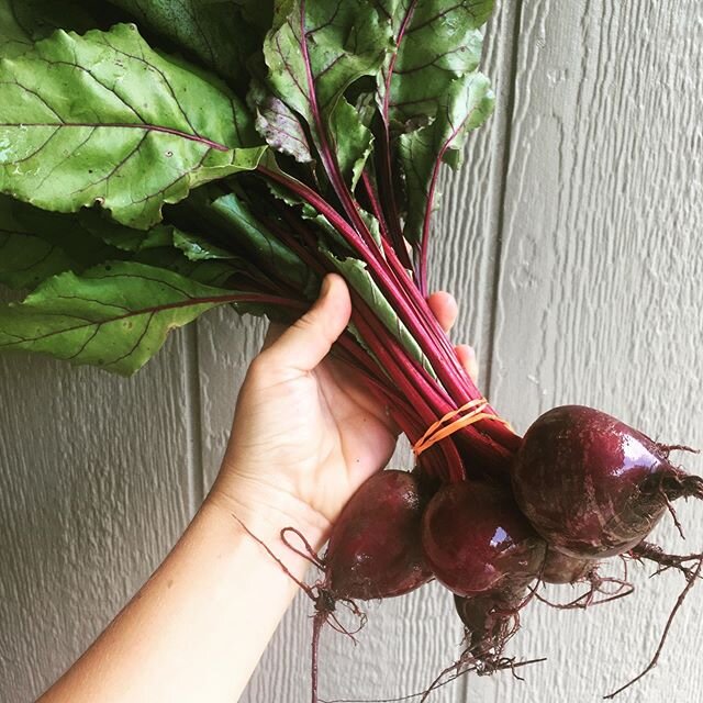 Beets... one of my favorite root vegetables. For an airy child like me, the grounding properties of this vegetable are extremely beneficial for my health. Did you know the greens are edible as well? So delicious too! Just prepare them as you would Sw
