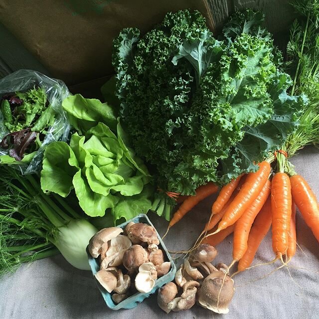 CSA Week 11
..
🥕
..
Featuring cutie shiitakes @black_trumpet_farm ..
🌿
.. Momma spent the week with us and helped us immensely in the gardens! It was so wonderful to have her here with lots of laughs and story sharing. Feeling that uneasiness and m