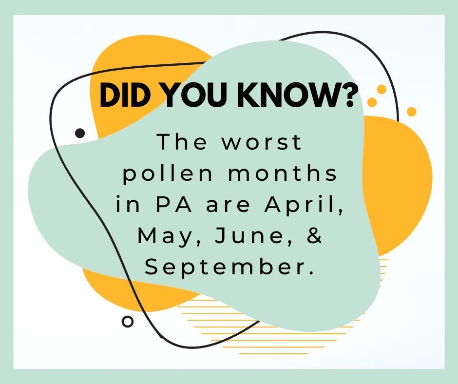 Cleaning habits that can reduce pollen in the home:
✴️ Use allergen resistance covers on your pillows and mattresses
✴️ Wash bedding frequently
✴️ Use a microfiber cloth to dust from high to low
✴️ Don't forget to clean ceiling fans, curtains, and bl