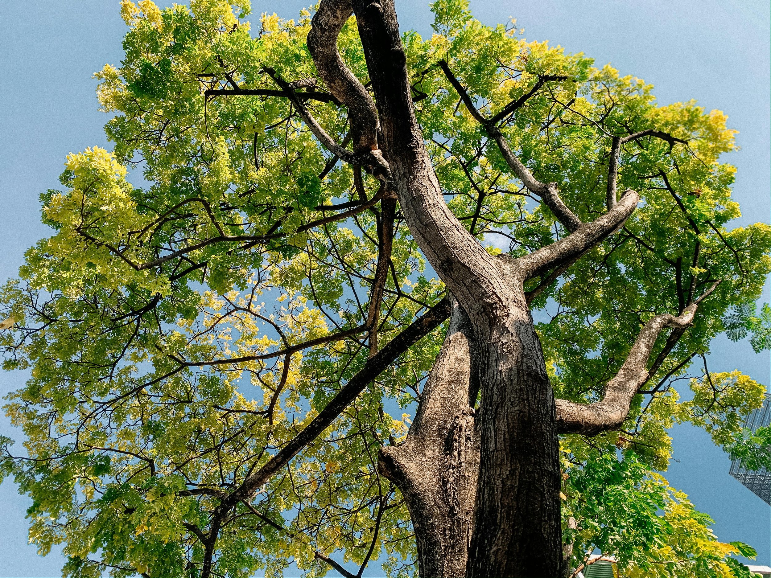 Living Presence: A Centering Prayer Weekend