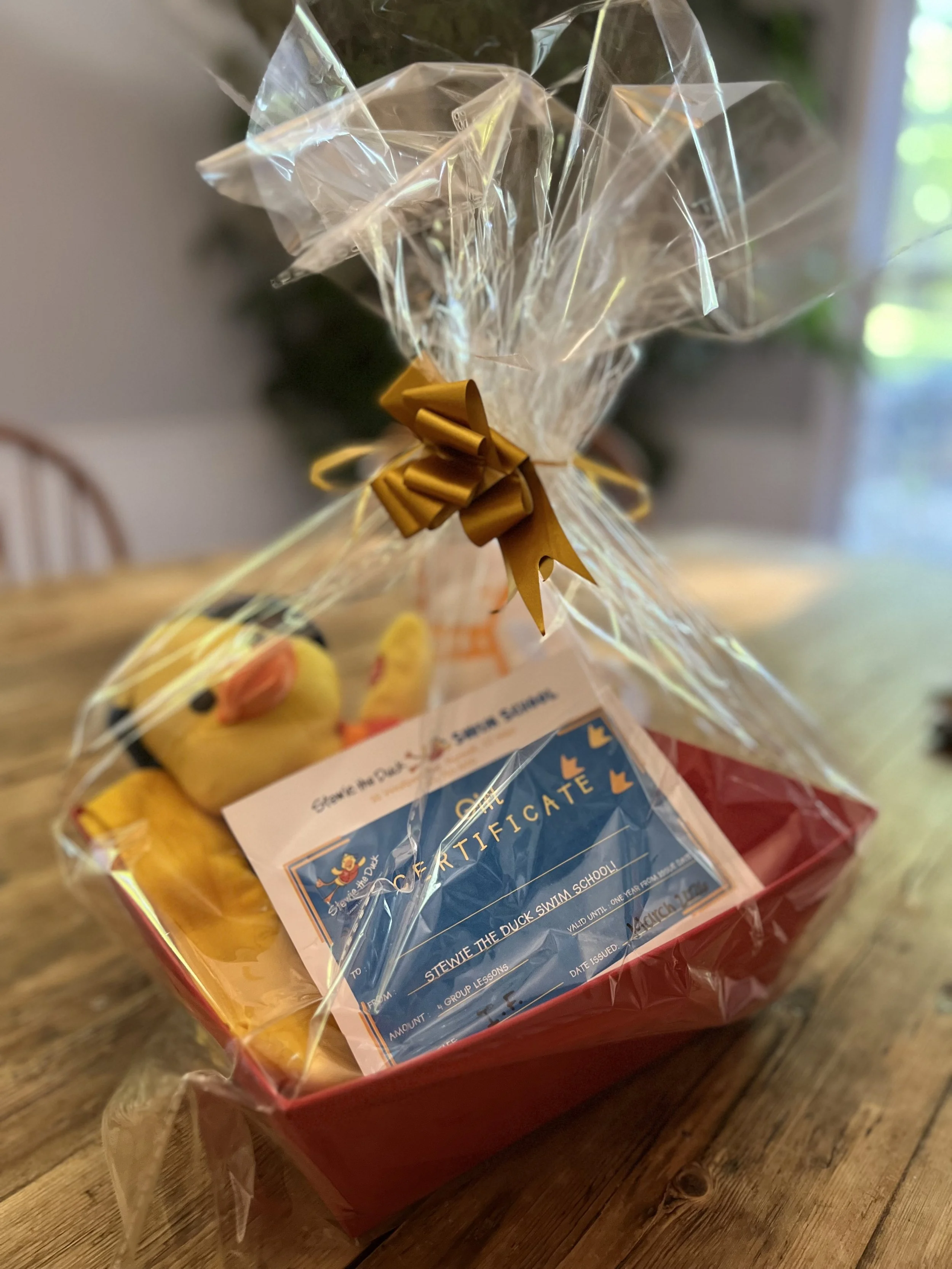 Stewie the Duck Swim School Package