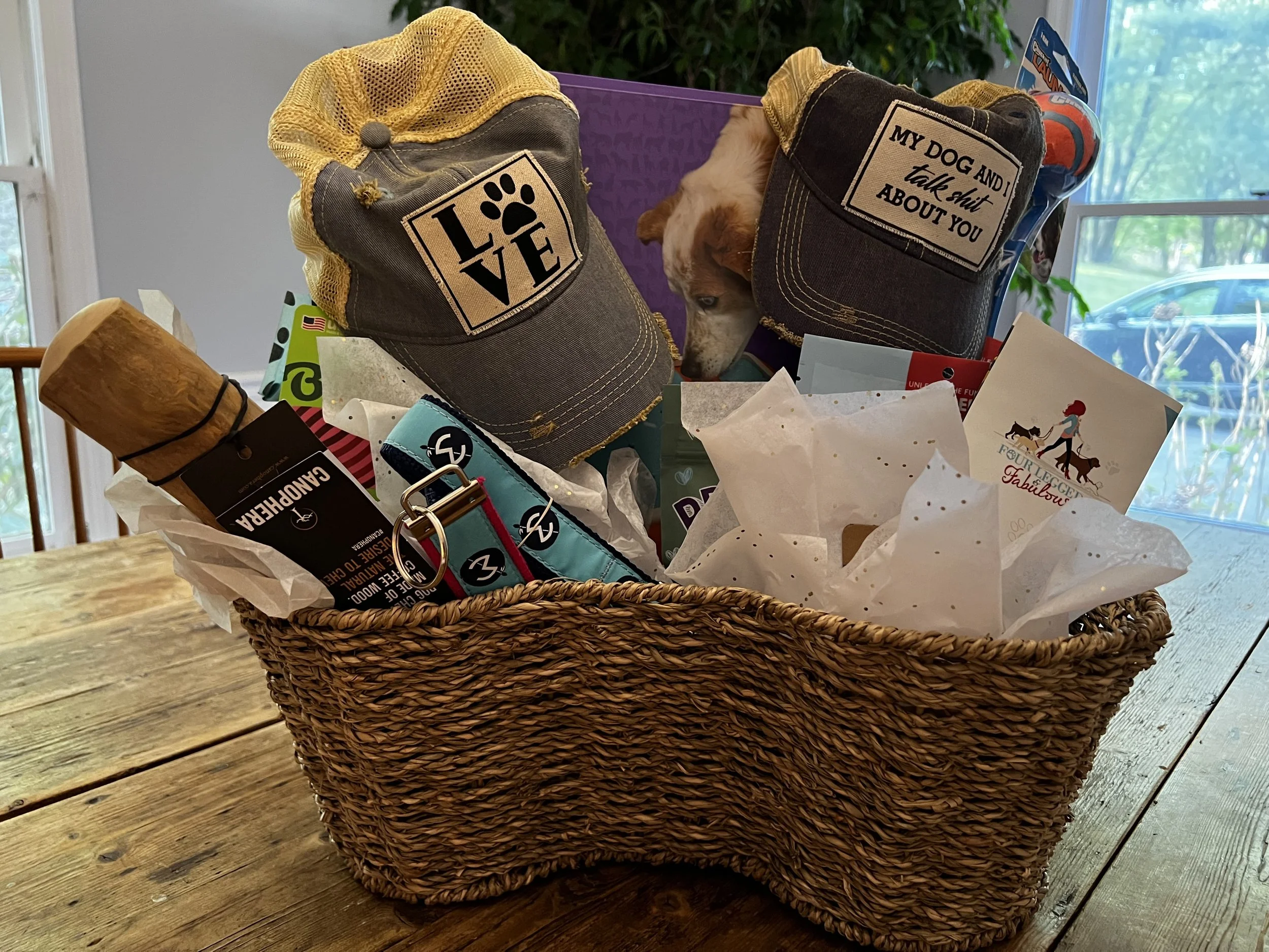 Four Legged & Fabulous Dog Basket