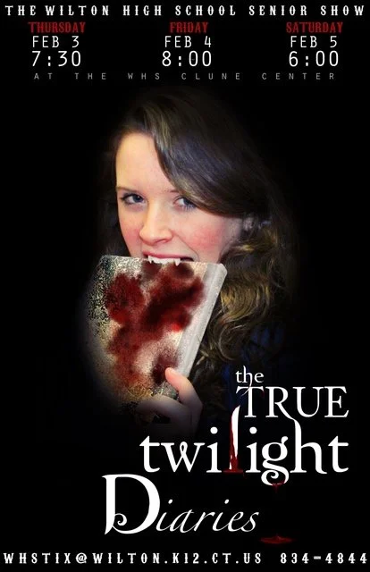 The True Twilight Diaries.jpg