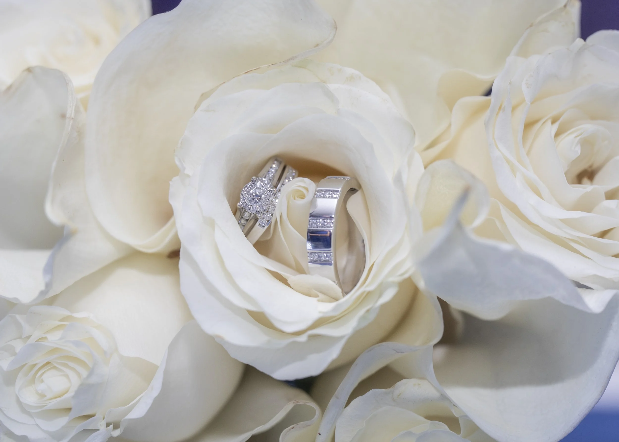 VIEN9874 Rings.jpg