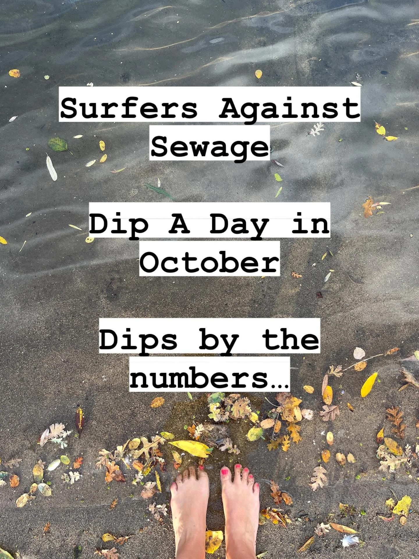 The numbers are in:
9 River swims 💧
7 Bathtub dips 🛀
5 sea swims 🌊
(1 riptide 😵)
5 cold showers 🚿
2 cold plunges ❄️
1 face dunk 🧊
1 pool swim 🏊🏻&zwj;♀️
1 pond swim 🦆
6 cossies 👙
4 dolphins 🐬
3 river otters 🦦
2 dogs 🐶
2 cousins 💁&zwj;♂️?
