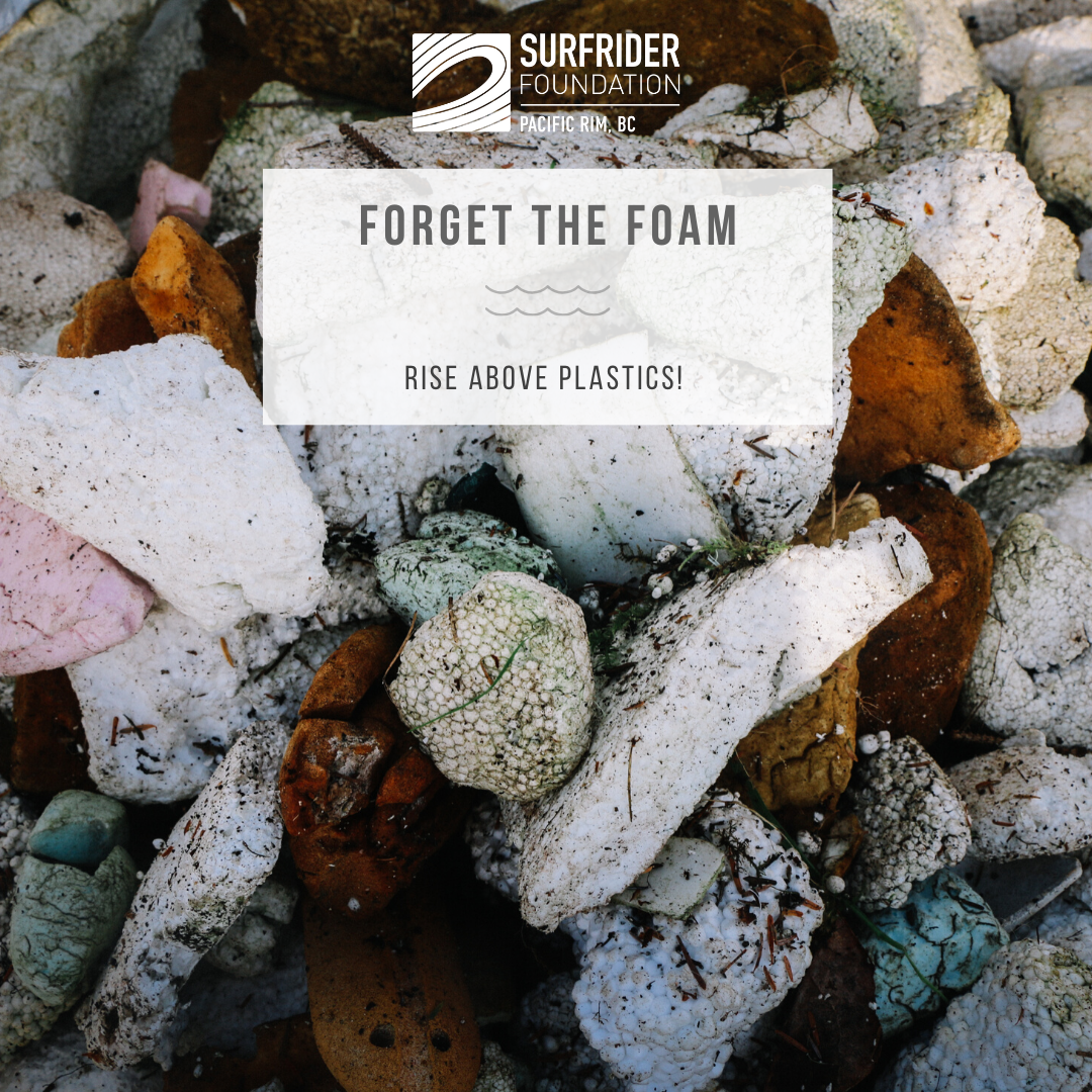 foam & cutlery facts (3).png