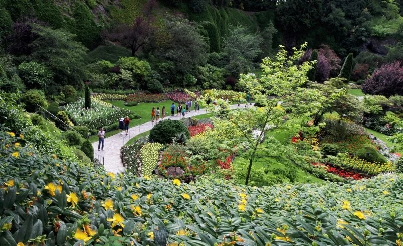 Plastic bottles banned from Butchart Gardens on World Water Day