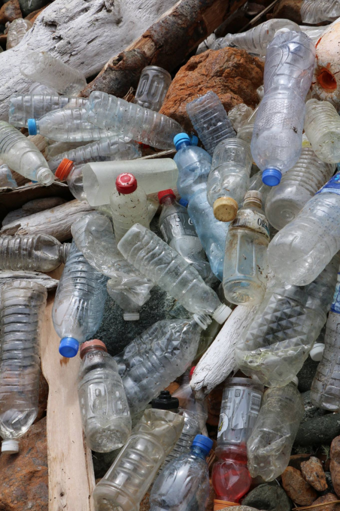 Tapping into the Truth of Plastic Water Bottles