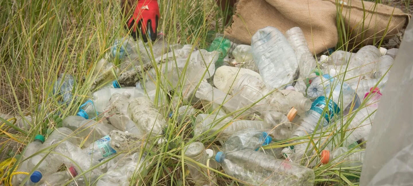 Rise Above Plastics