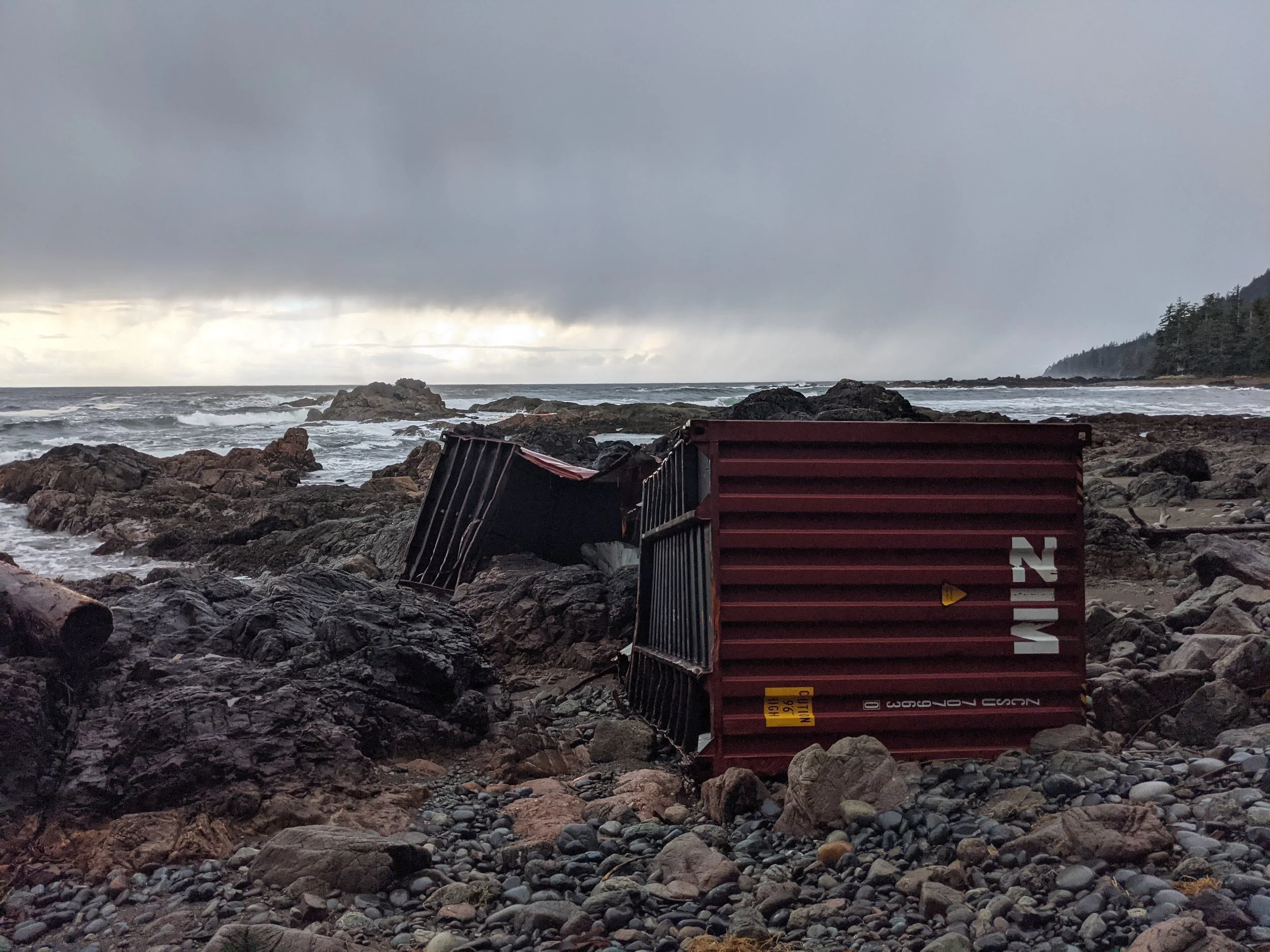 Zim Kingston - one month on