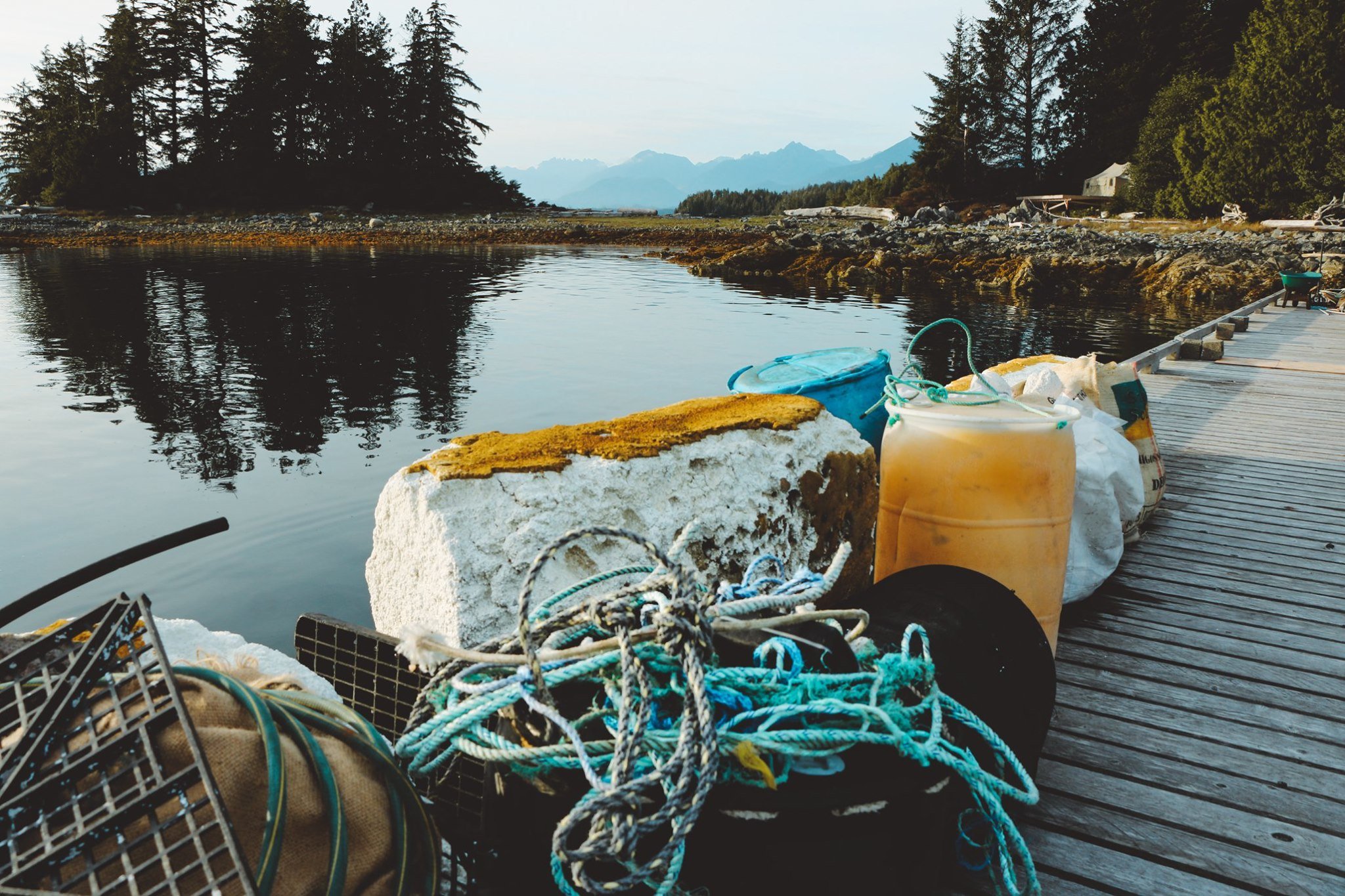 Remote Cleanup: George Fraser Islands