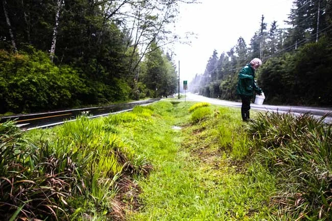 MUP Clean Up with Long Beach Lodge