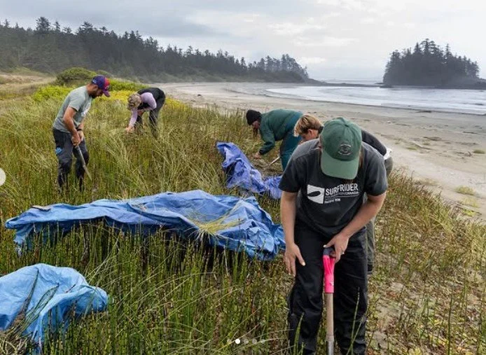 Sand Dune Restoration