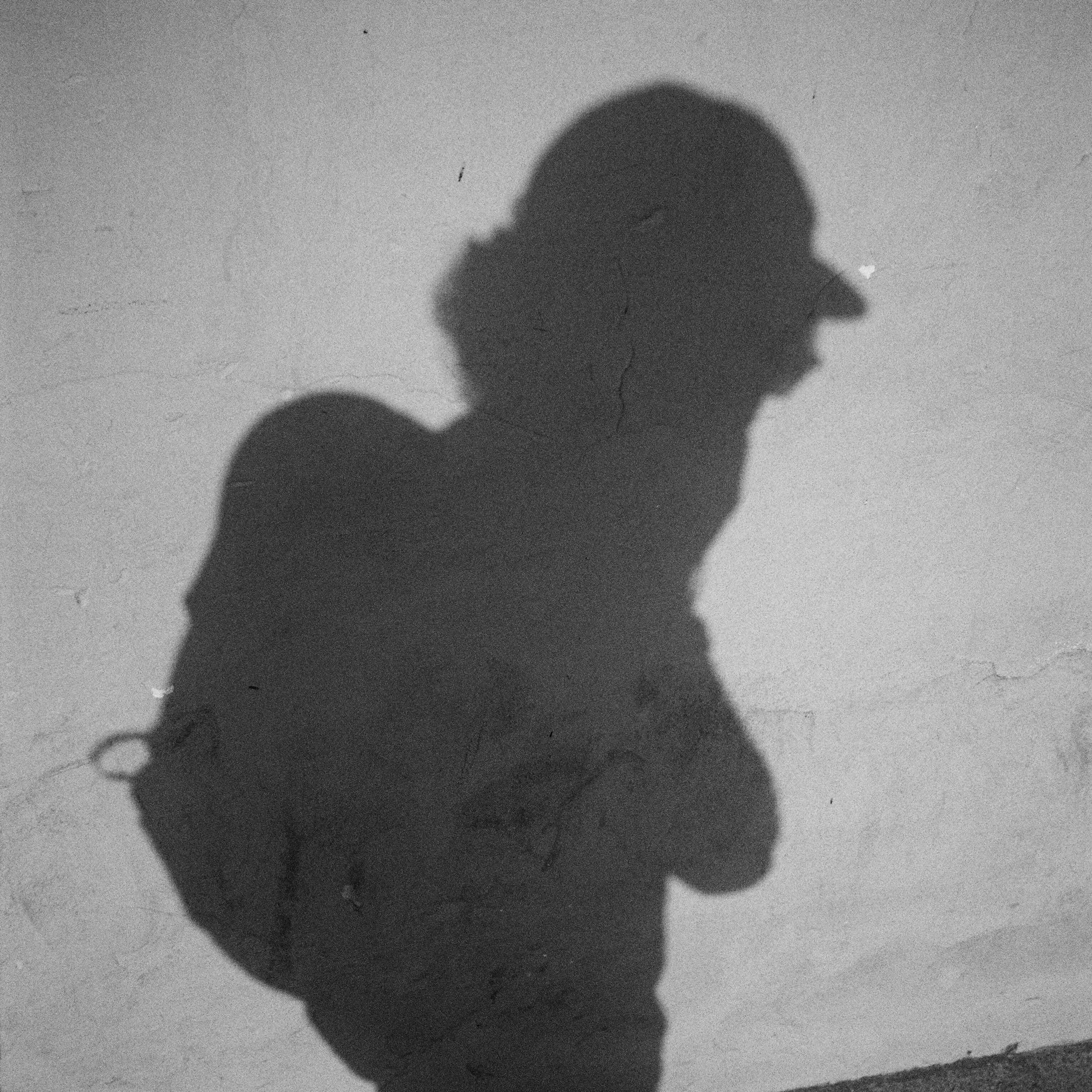 THE PROBLEM WITH MUPPET LOVE