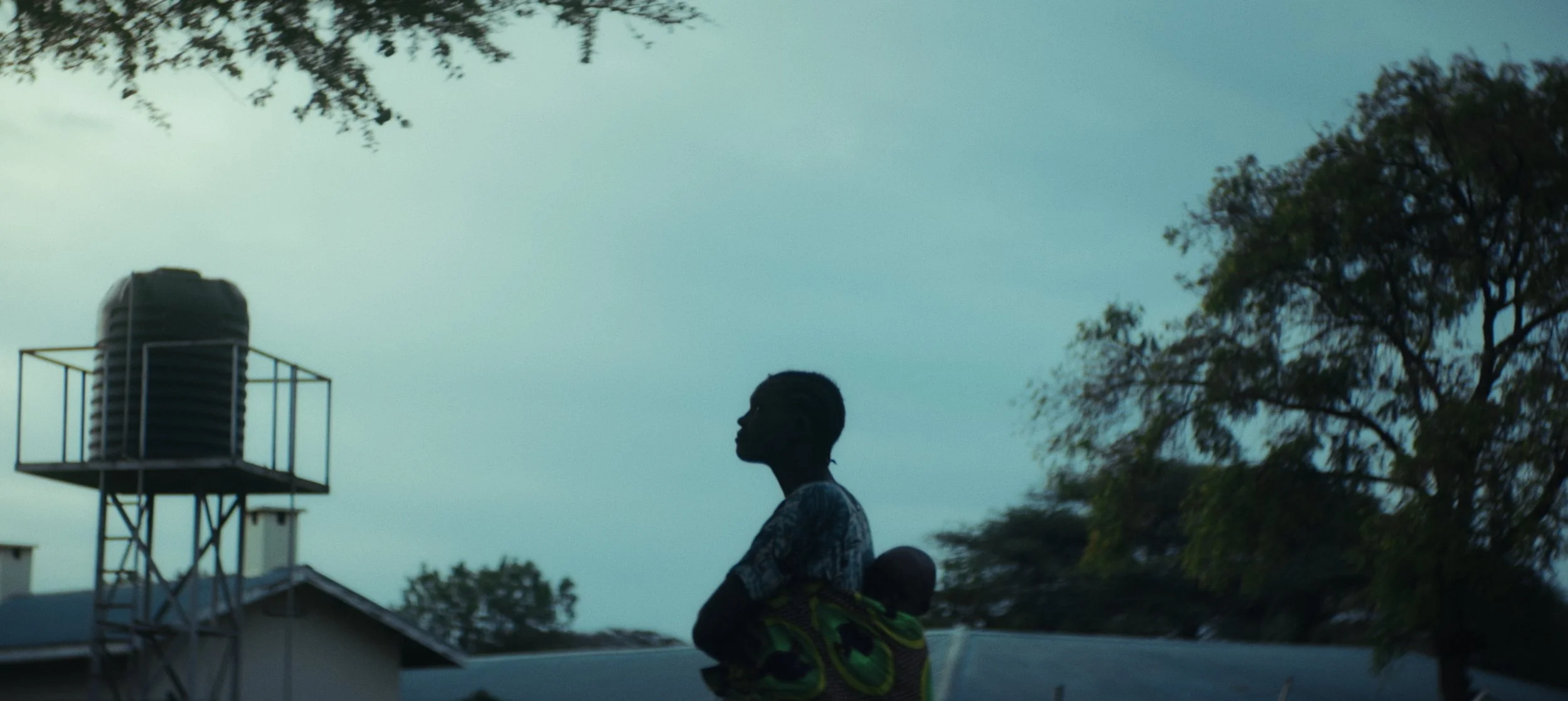 Still 2026-02-11 112159_6.1.1.jpg