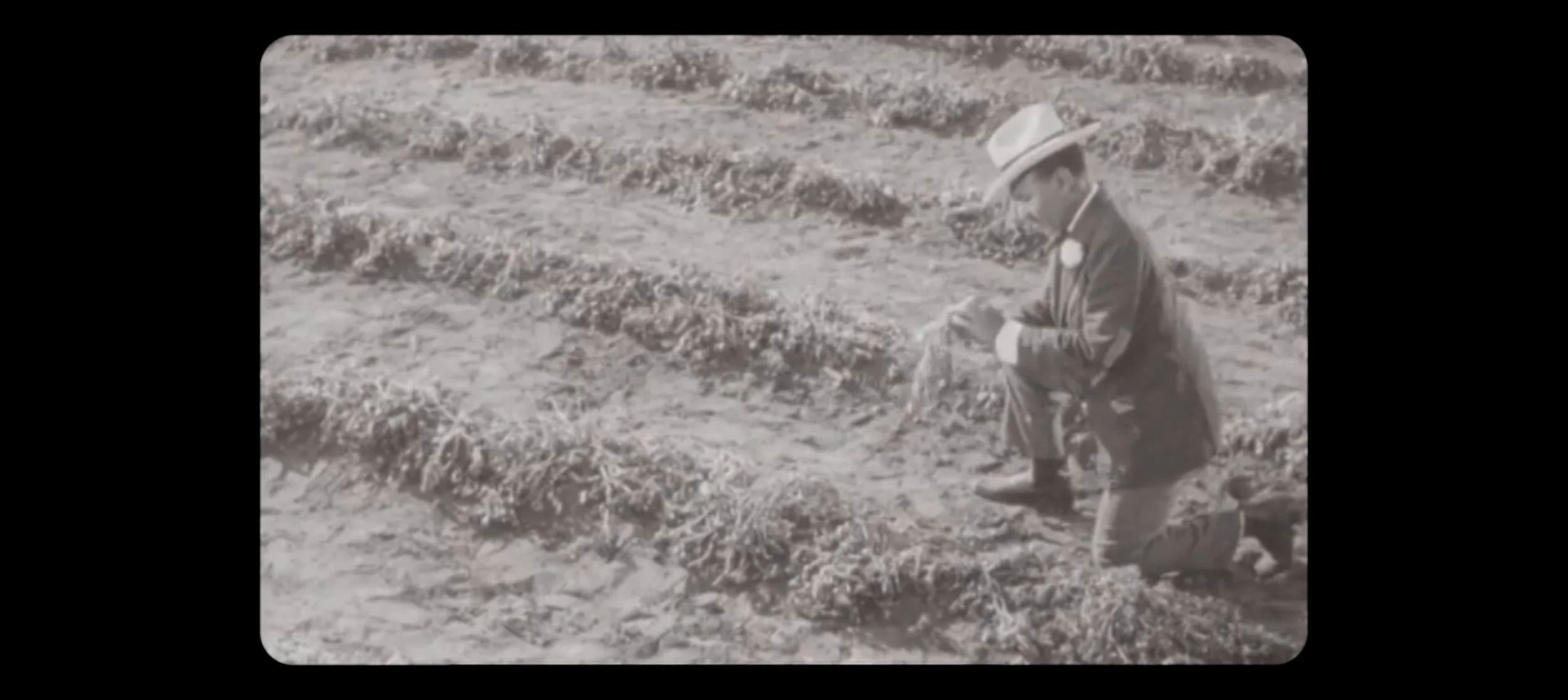 Still 2026-02-11 112159_7.30.1.jpg