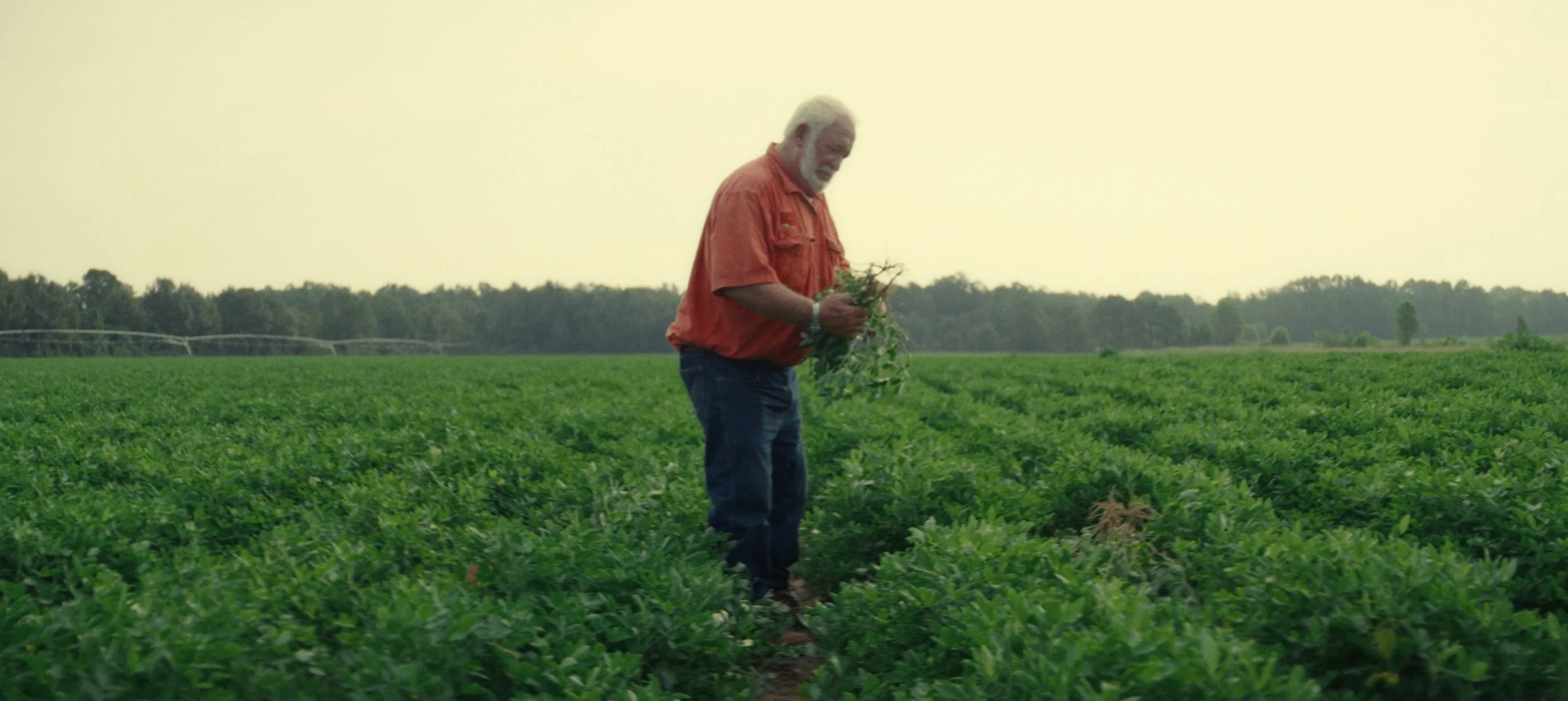 Still 2026-02-11 112159_1.3.1.jpg