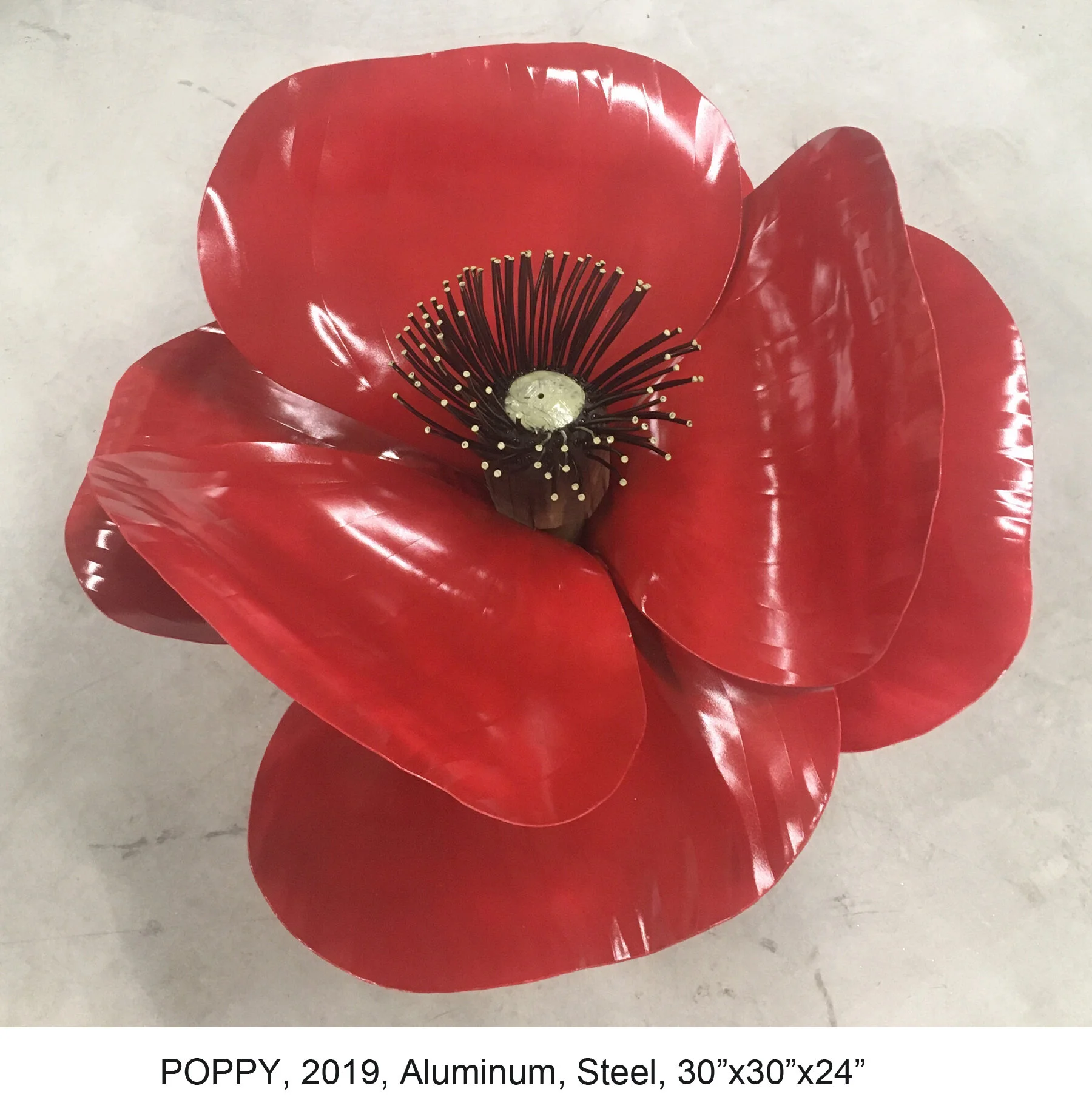 POPPY  for website.jpg