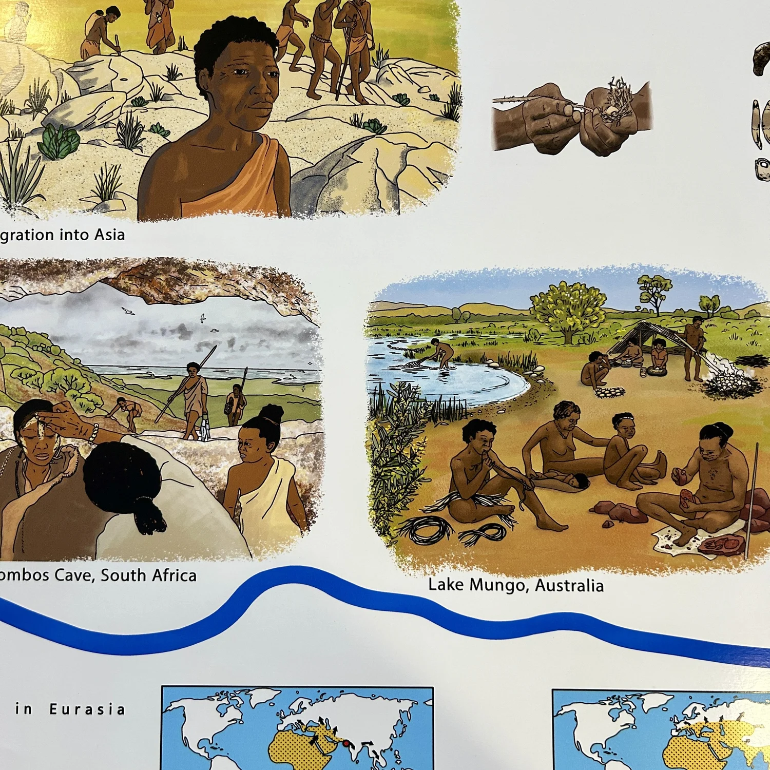 First Timeline of Human Beings - Vinyl — Montessori Northwest