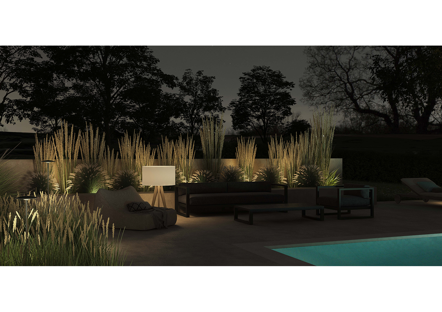 jardin-night-03.png