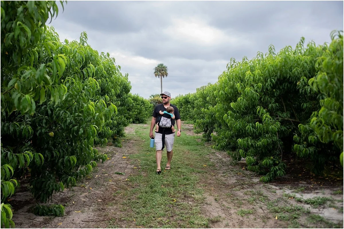 Peach-picking-in-Central-Florida (3).jpg