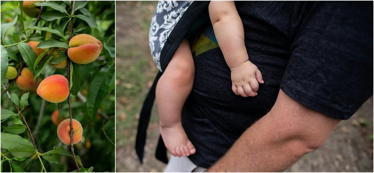 Peach-picking-in-Central-Florida (13).jpg
