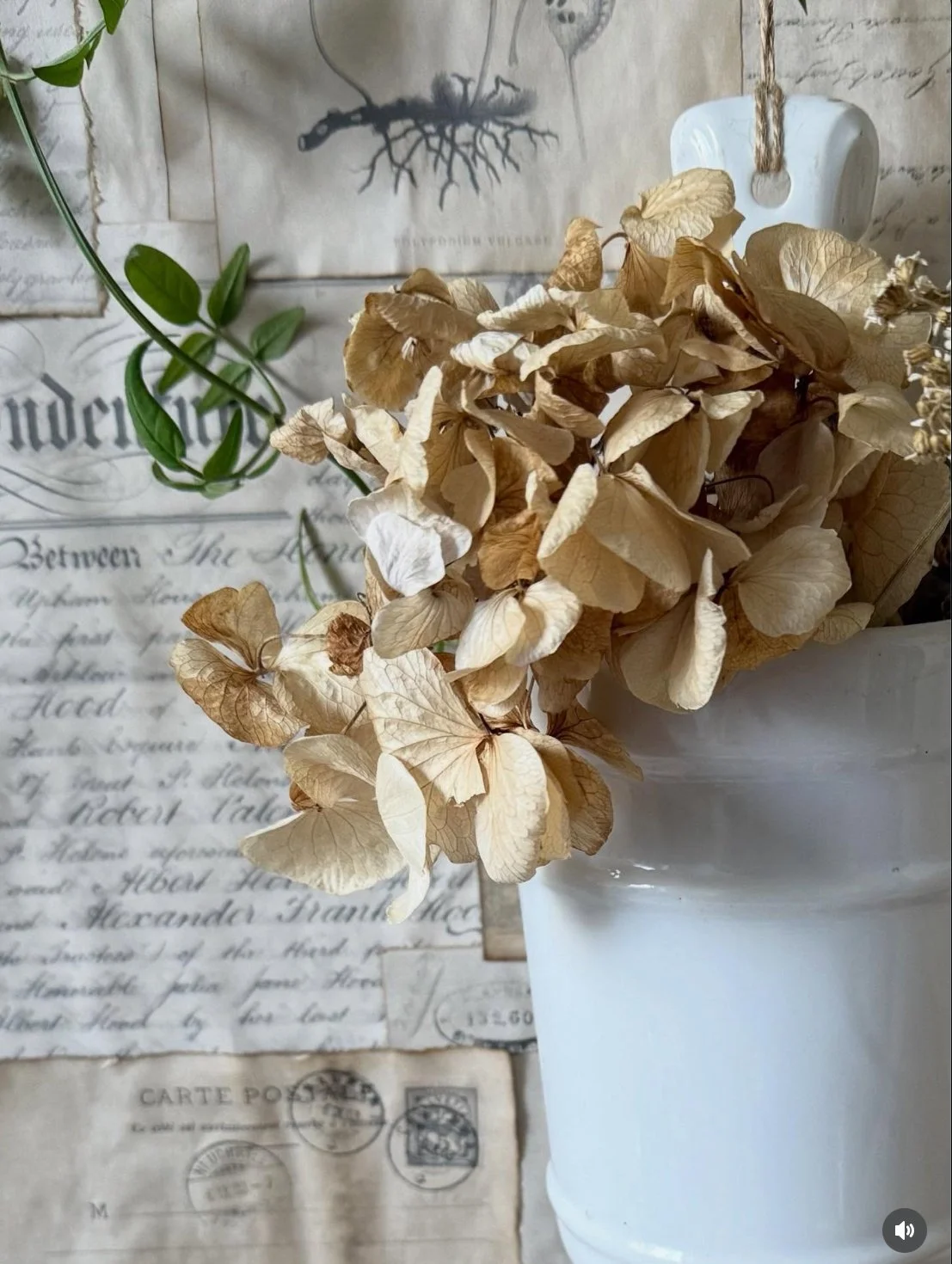 Amanda Russell Design