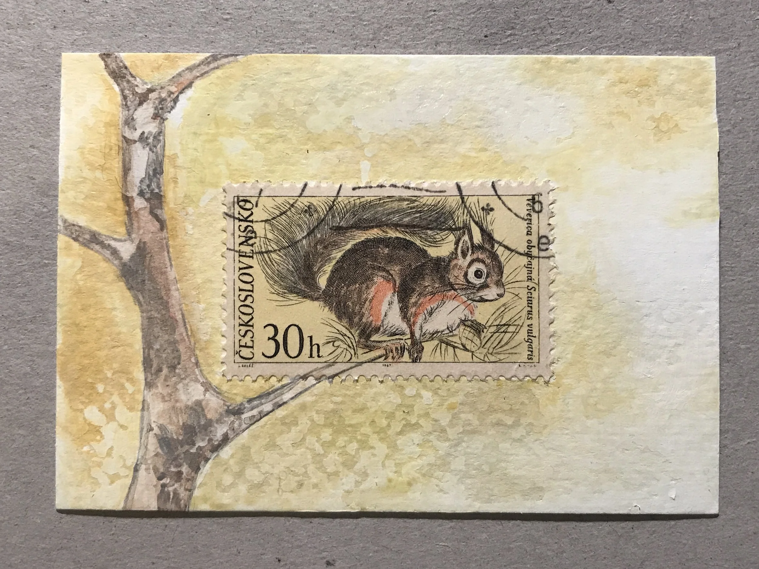 Squirrel Postage Stamp Art  (framed 512)