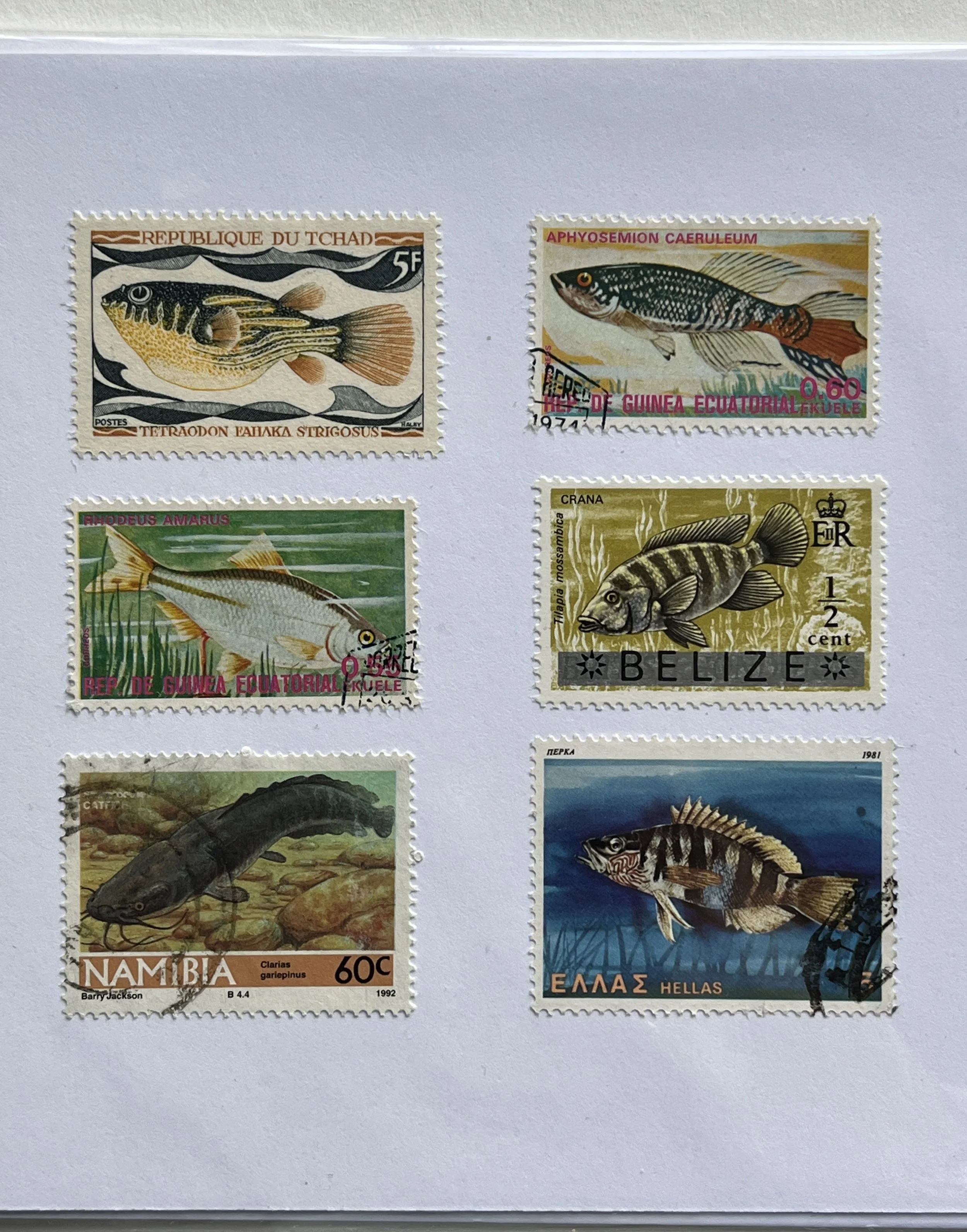 Exotic Fish Stamp Greetings Card