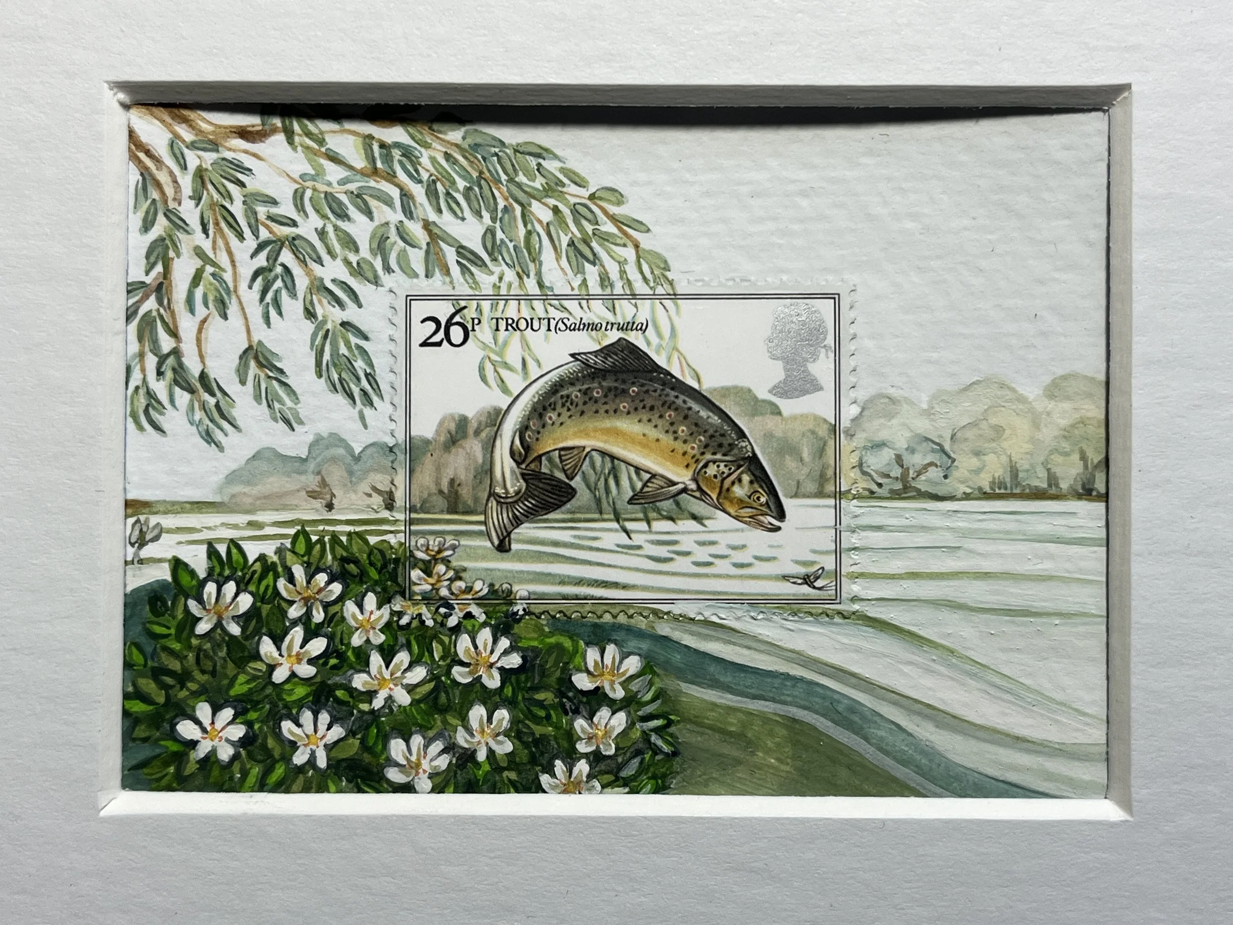Trout Postage Stamp Art