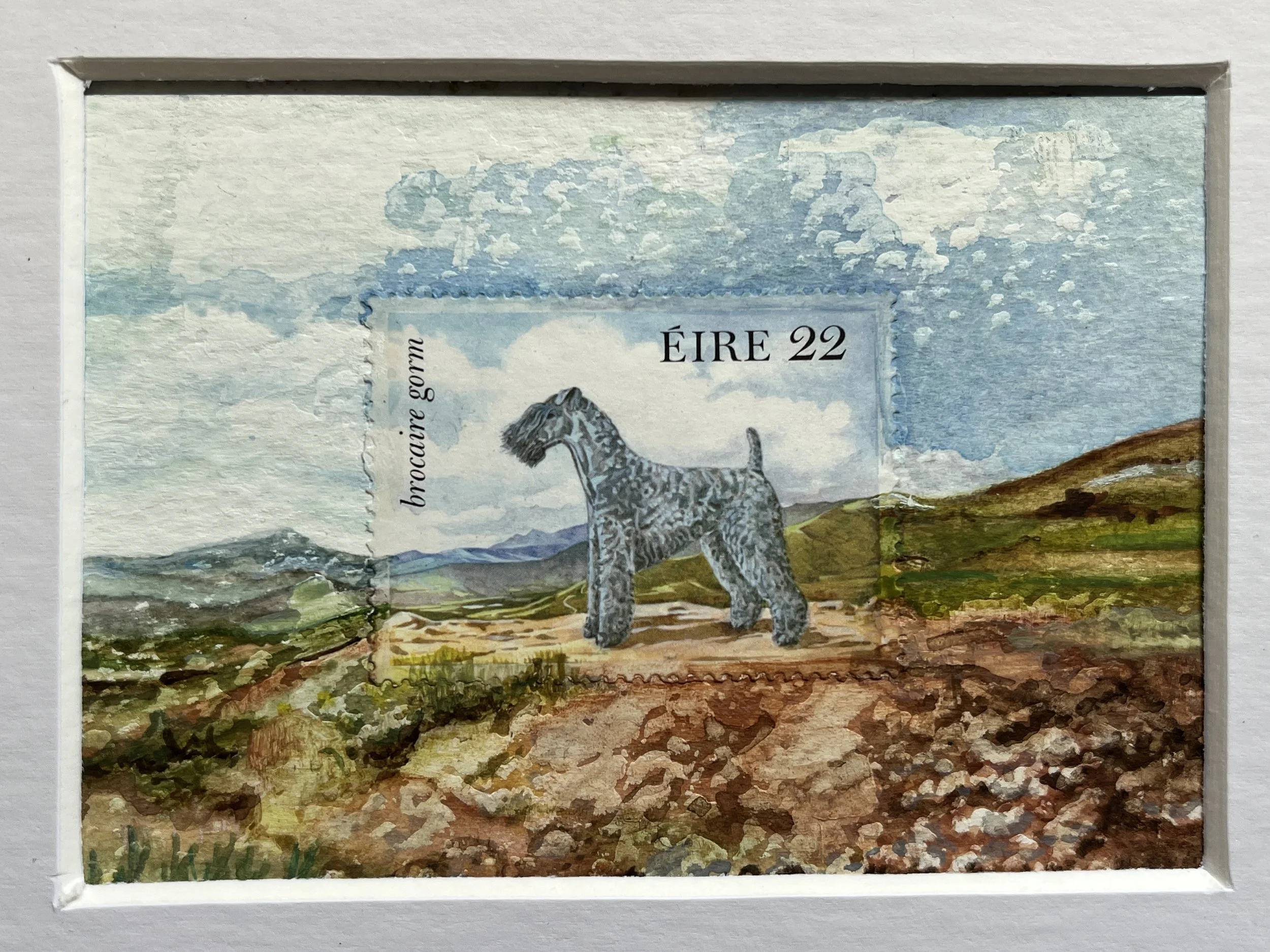 Framed Kerry Blue Terrier Postage Stamp Art original  (176)