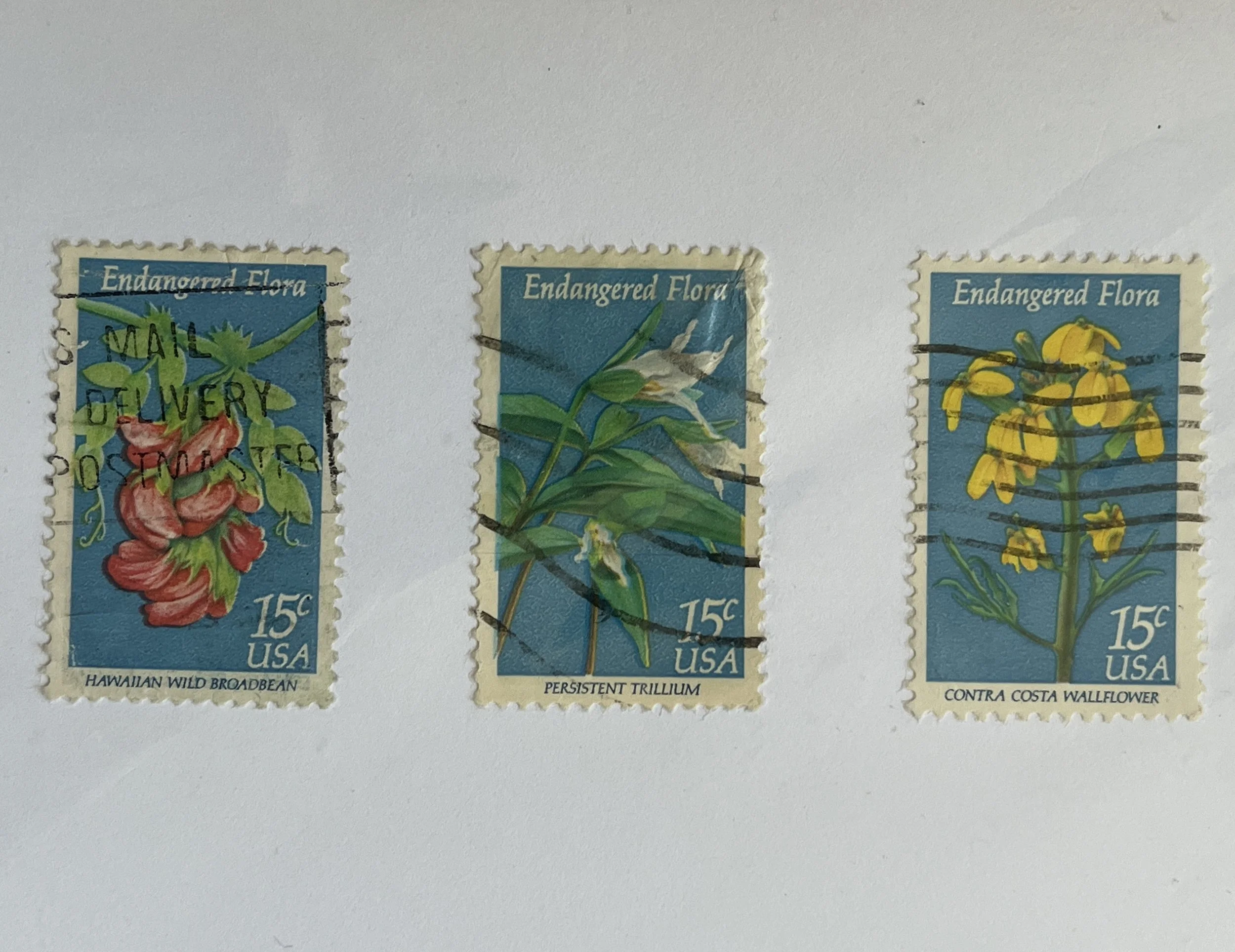 Flowers Greetings Card with Vintage USA Stamps