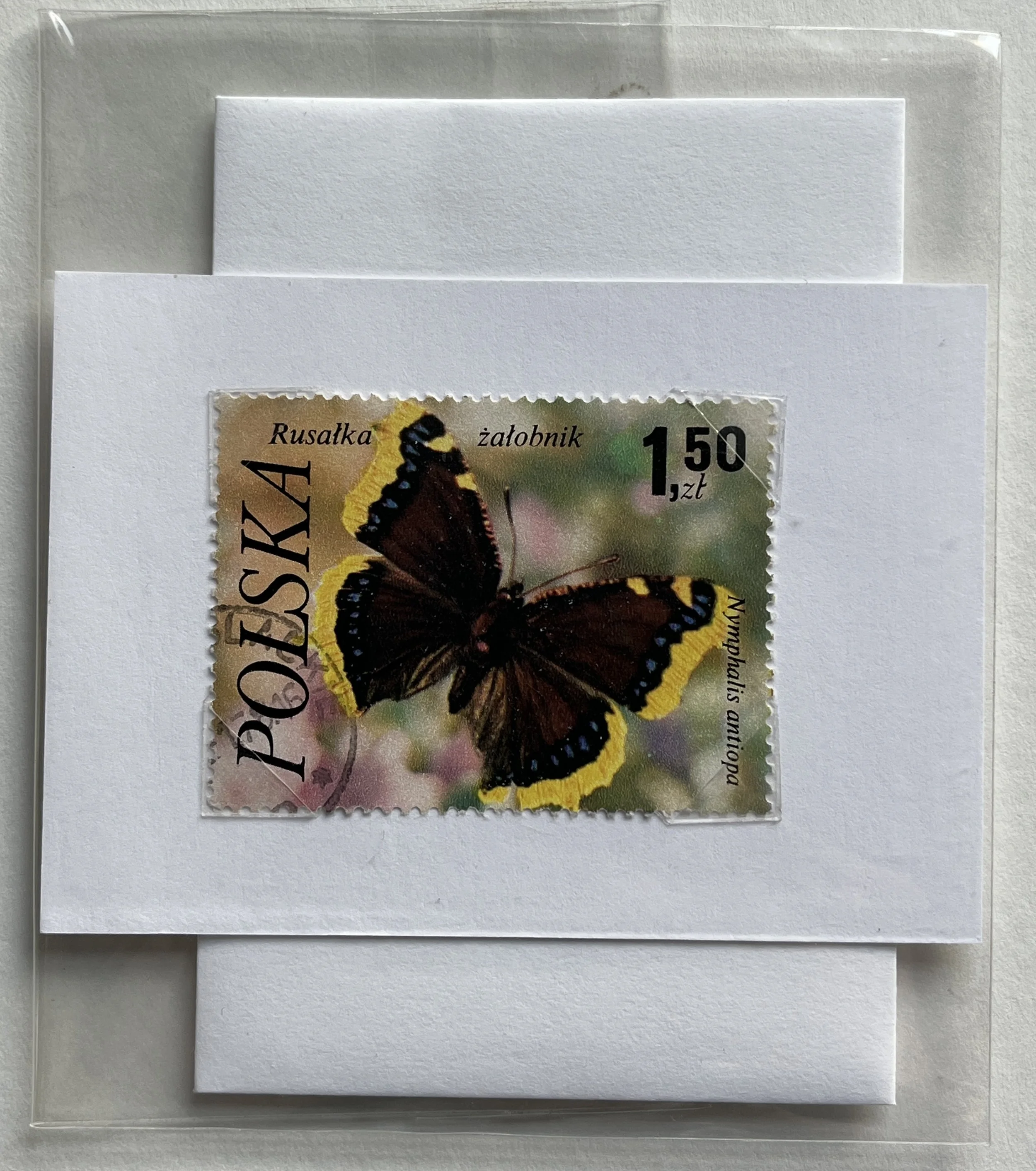 Butterfly Stamp Flat Gift Card