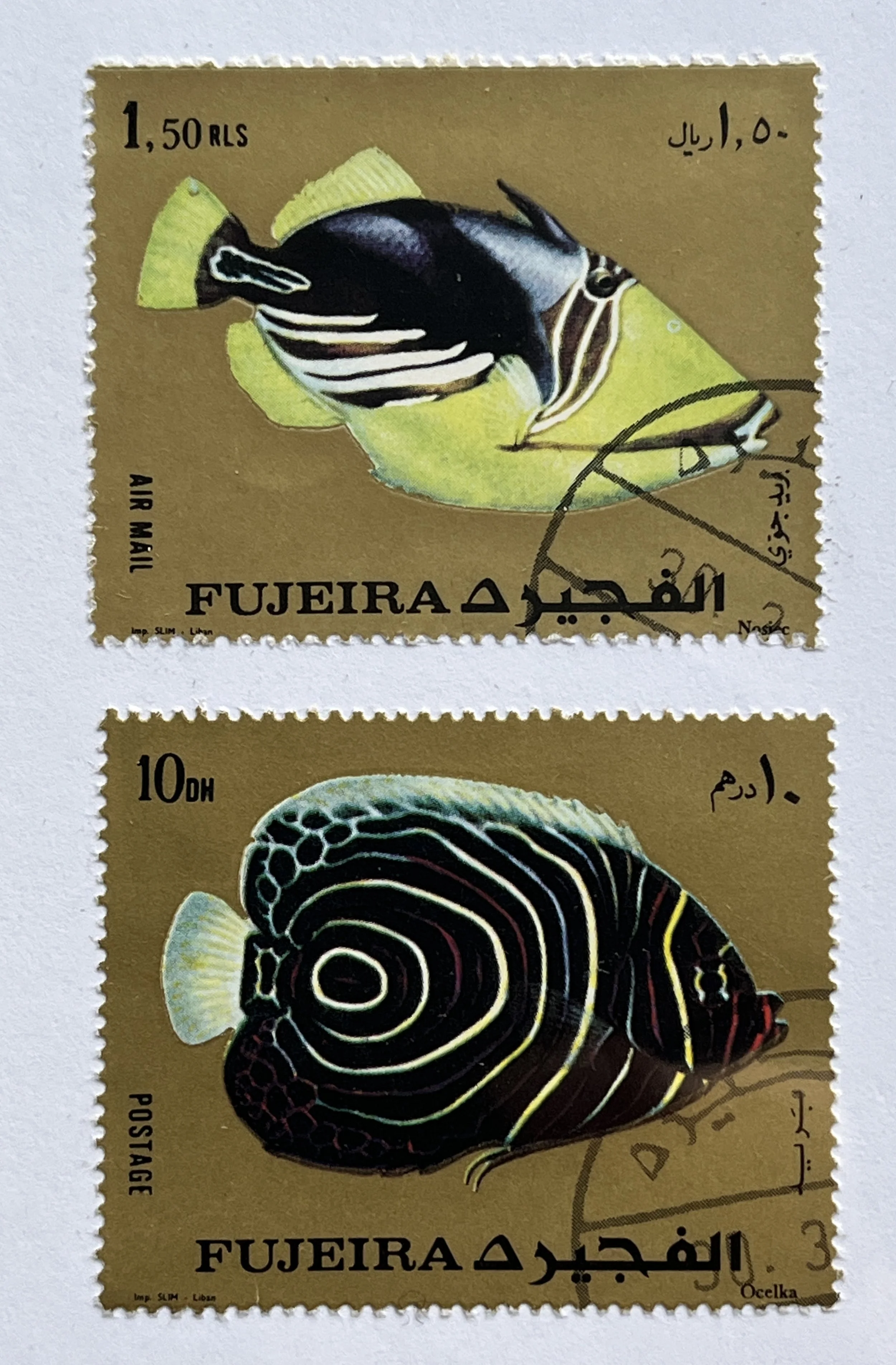 Unique Fish Postage Stamp Greetings Card
