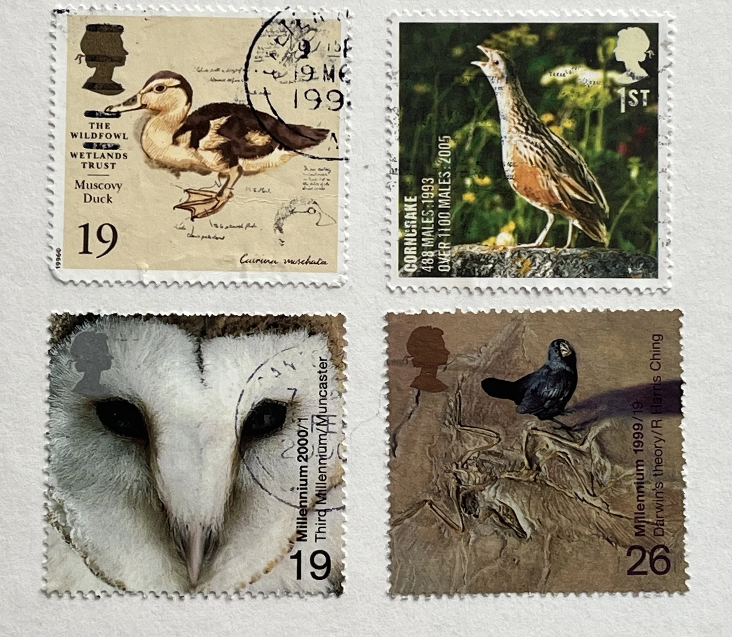 Bird Postage Stamp Greetings Card