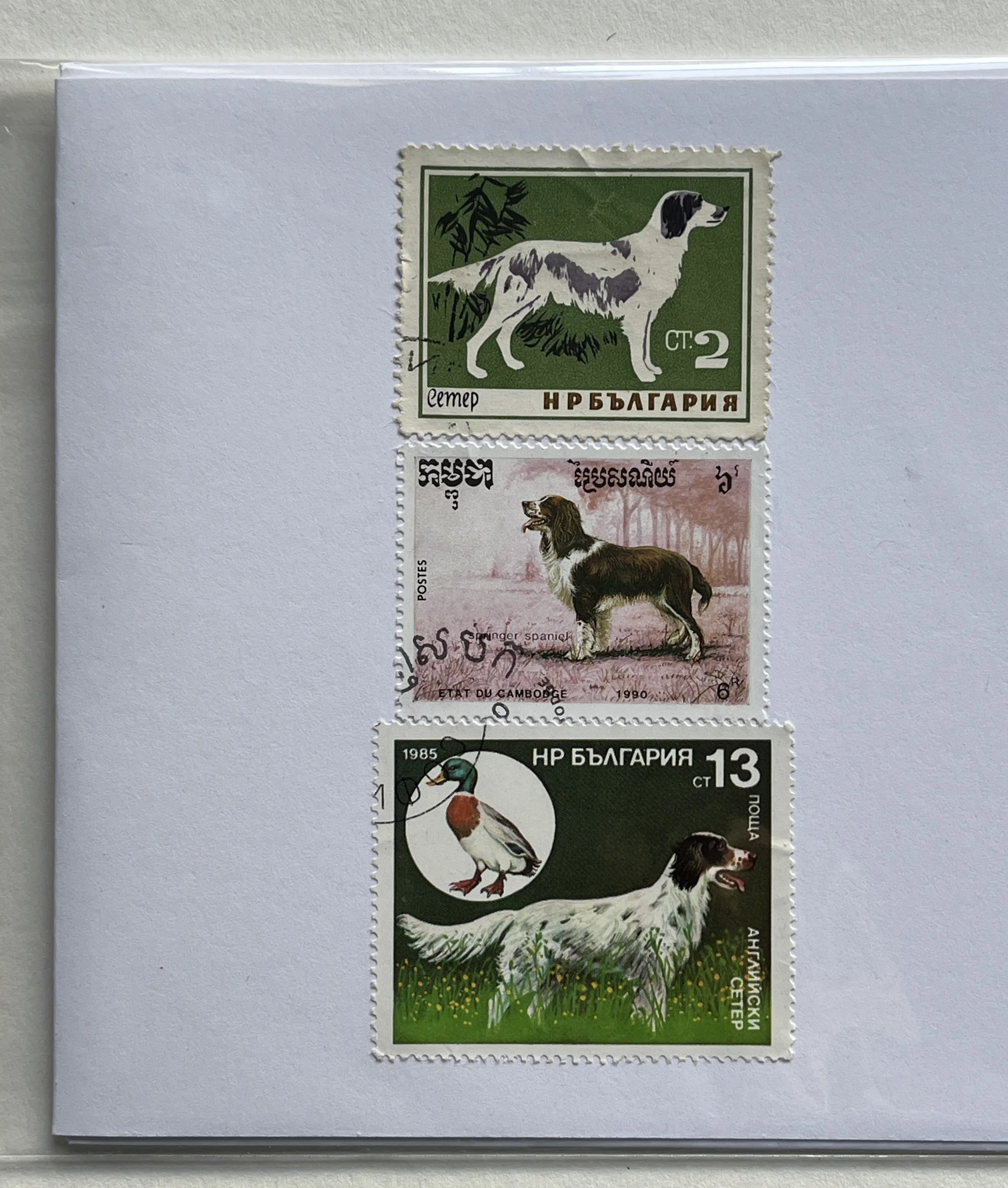 Vintage Spaniel Dog Greeting Card