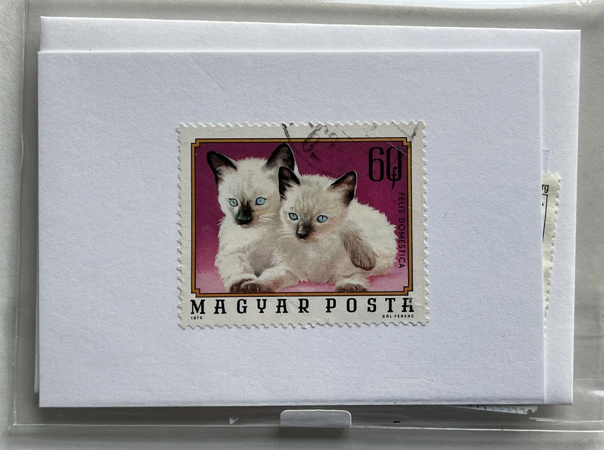 Vintage Kitten Postage Stamp Card with Envelope